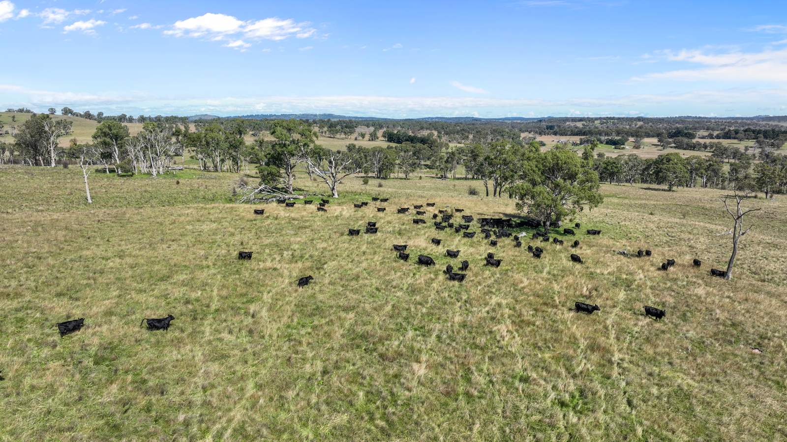 "Wyanga" 195 Gills Road, Uralla For Sale by Farmbuy.com - image 7