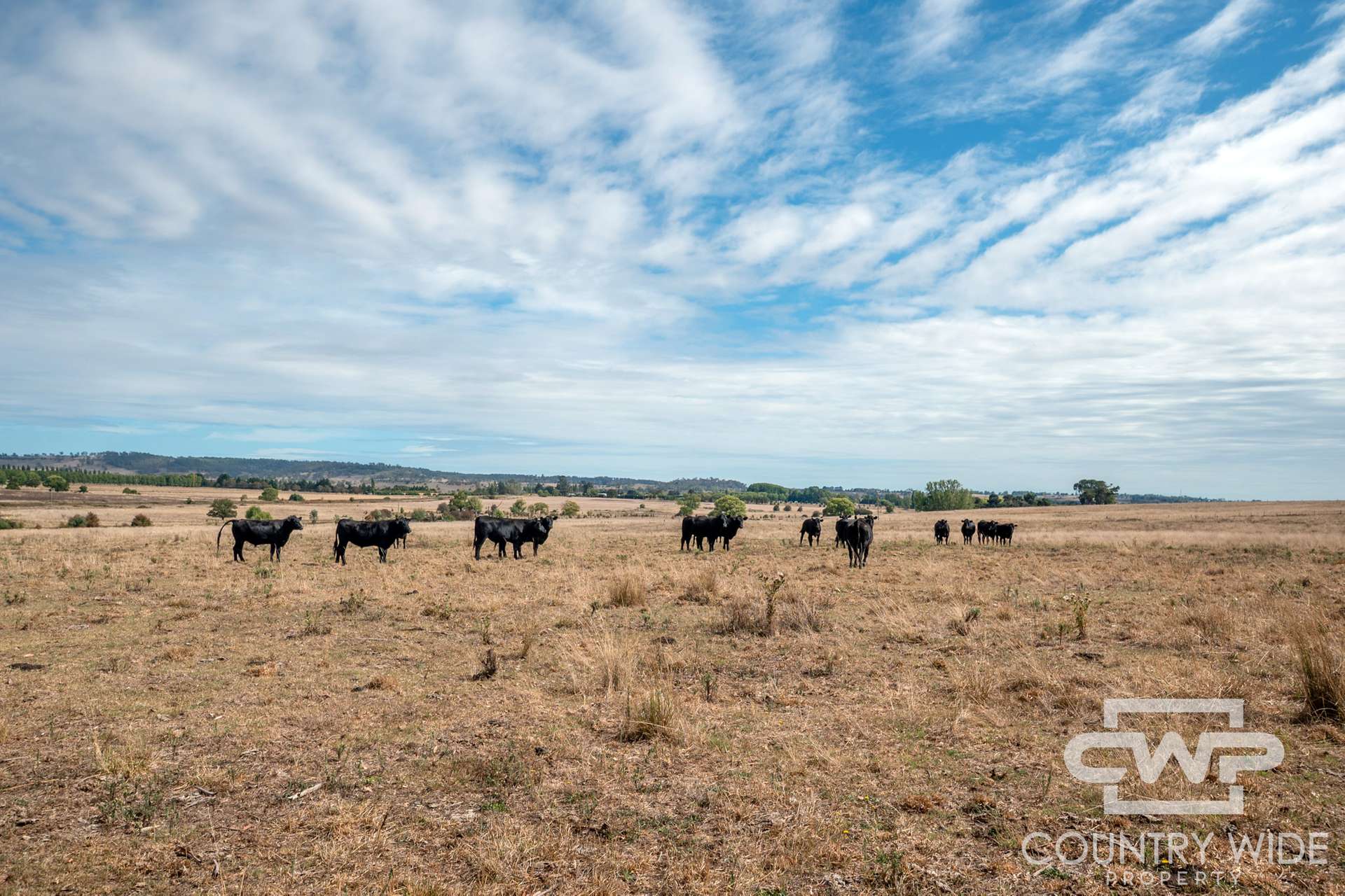 172 Hazelwood Road, Stonehenge For Sale by Farmbuy.com - image 8