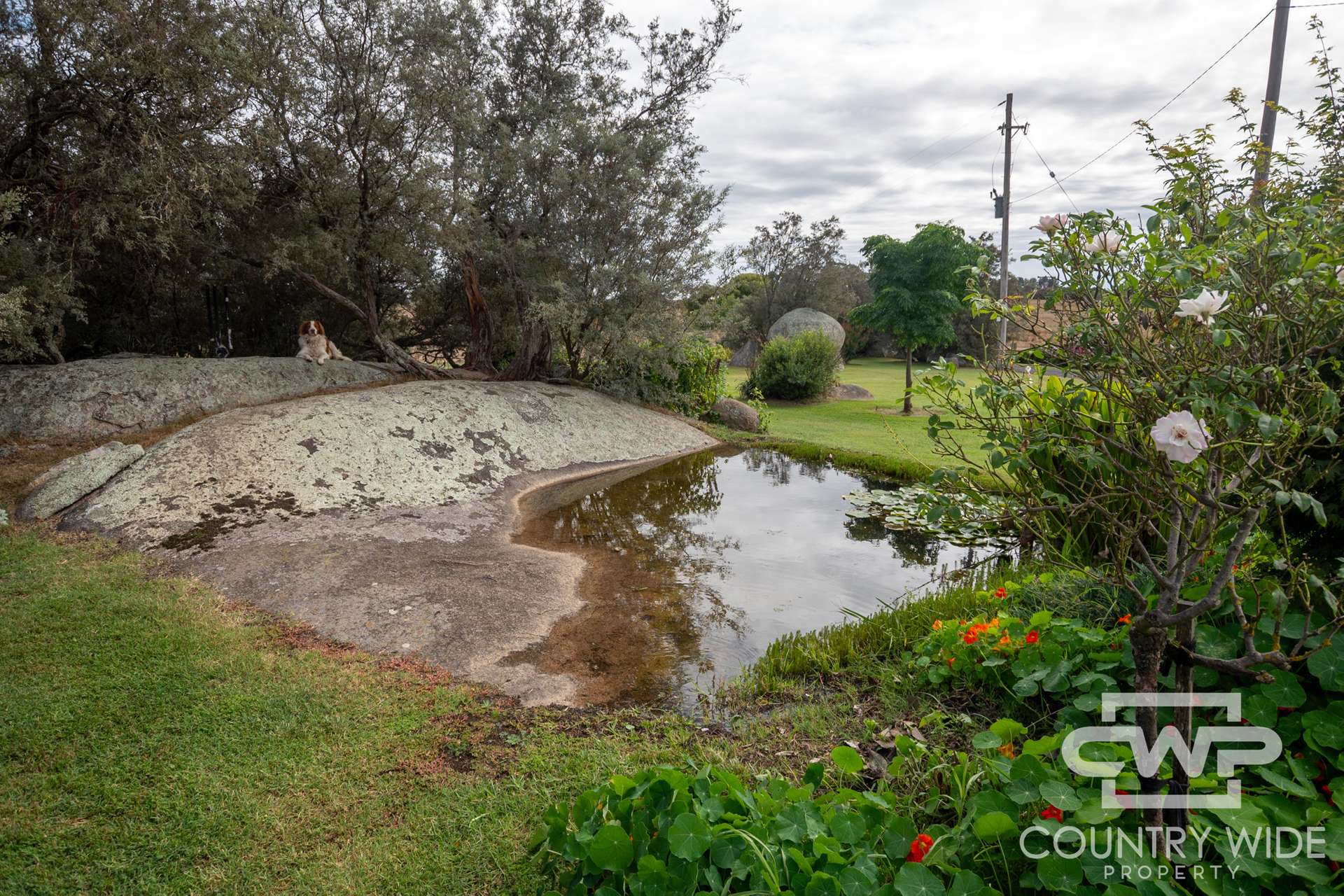 172 Hazelwood Road, Stonehenge For Sale by Farmbuy.com - image 14