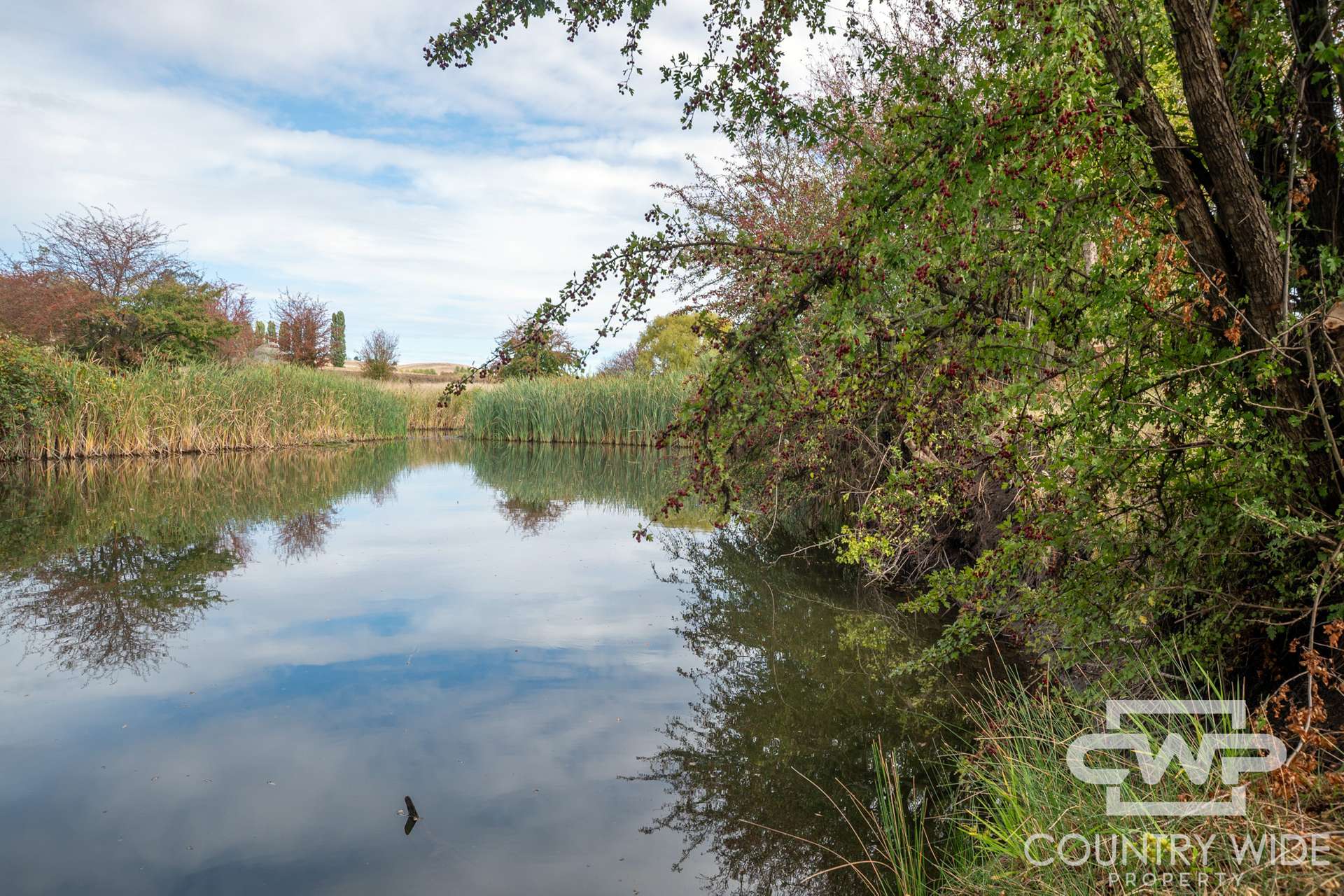 172 Hazelwood Road, Stonehenge For Sale by Farmbuy.com - image 9