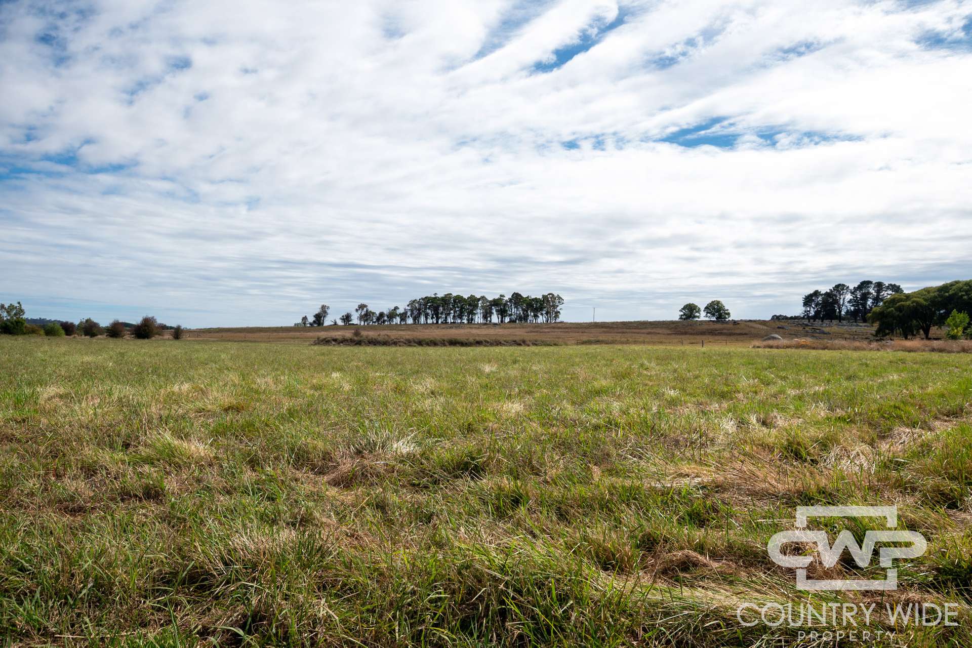 172 Hazelwood Road, Stonehenge For Sale by Farmbuy.com - image 13