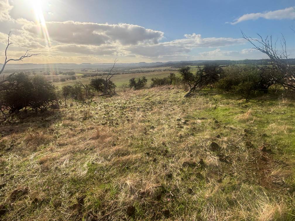 Lot 1 Giles Road, Moonyoonooka For Sale by Farmbuy.com - image 22