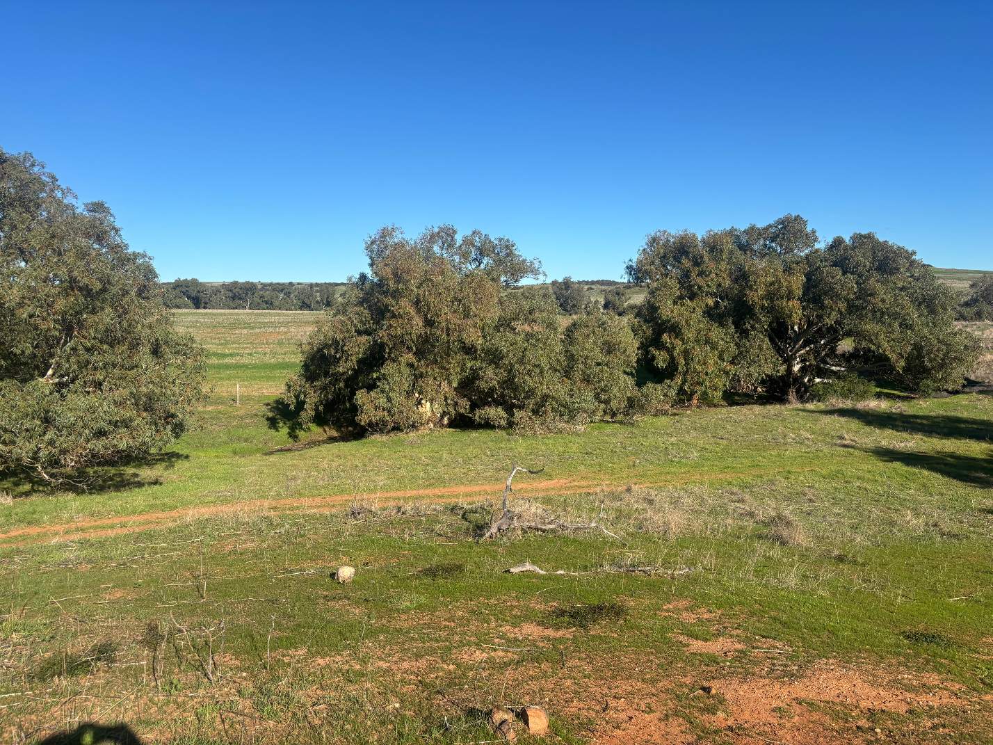 Lot 1 Giles Road, Moonyoonooka For Sale by Farmbuy.com - image 16