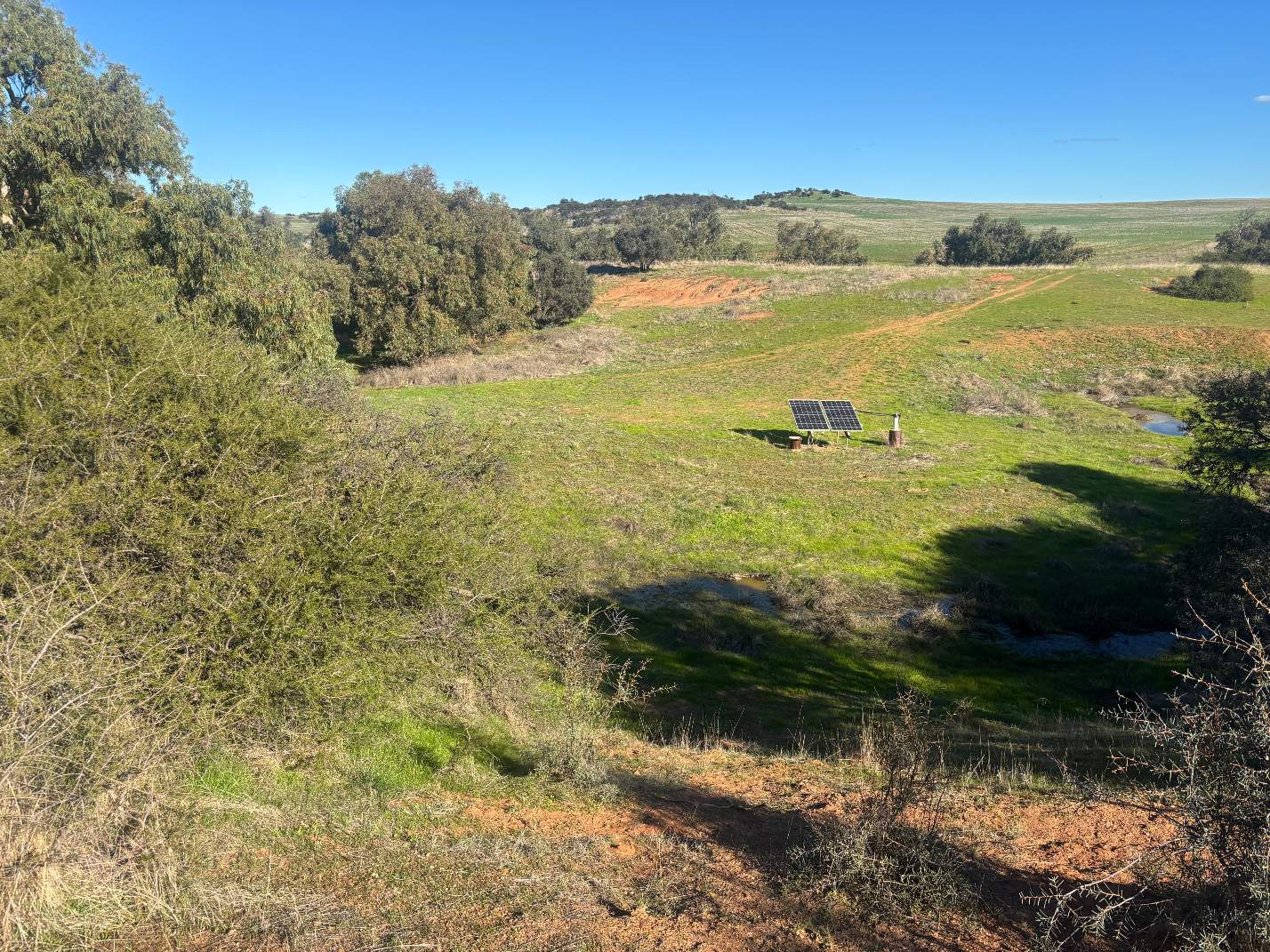 Lot 1 Giles Road, Moonyoonooka For Sale by Farmbuy.com - image 11