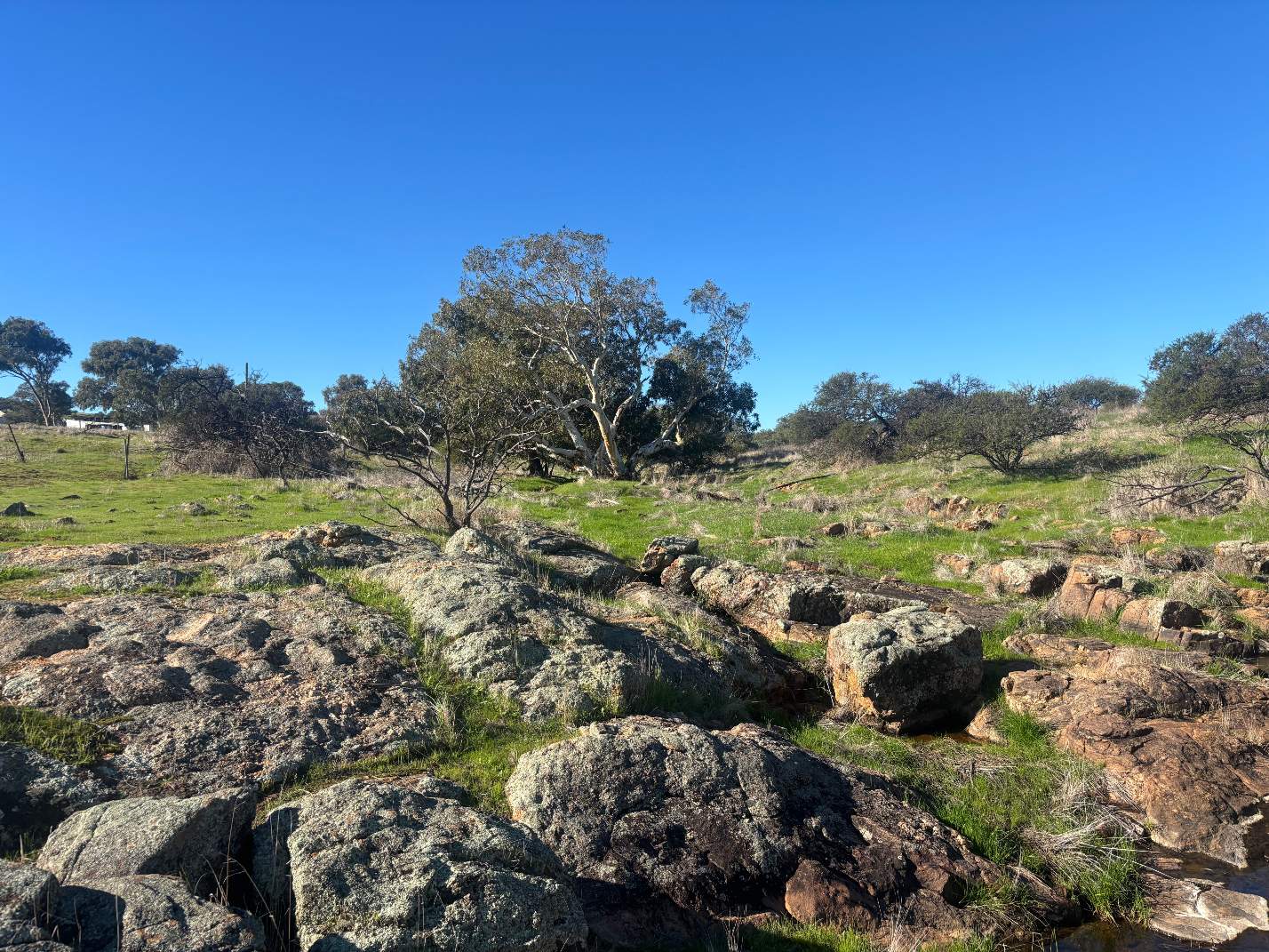 Lot 1 Giles Road, Moonyoonooka For Sale by Farmbuy.com - image 18
