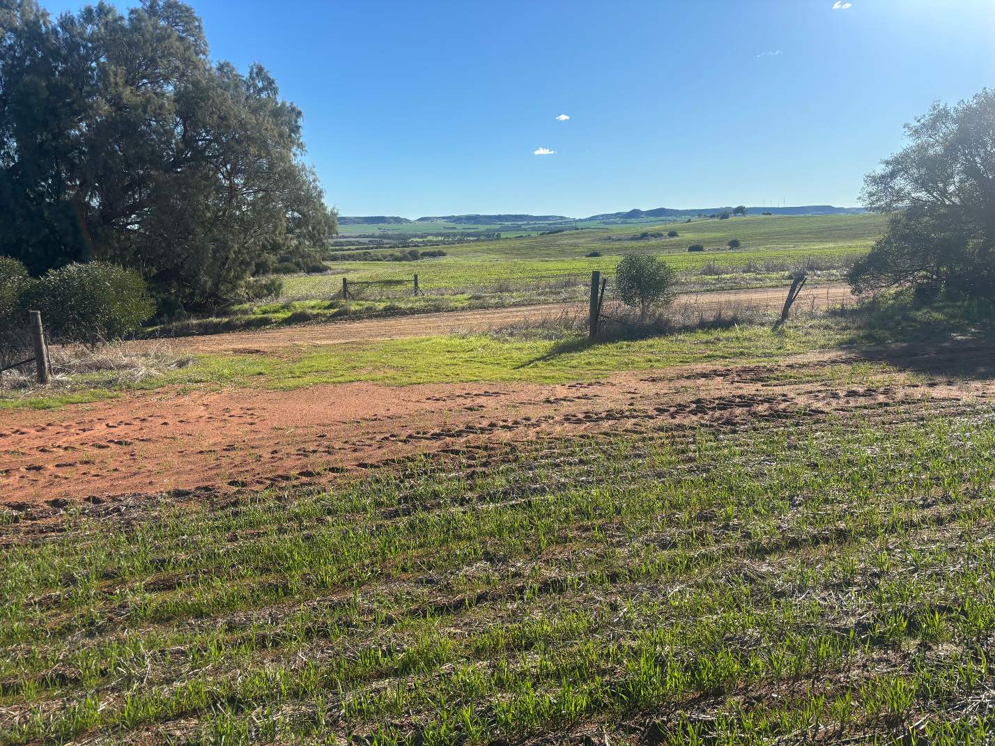 Lot 1 Giles Road, Moonyoonooka For Sale by Farmbuy.com - image 8
