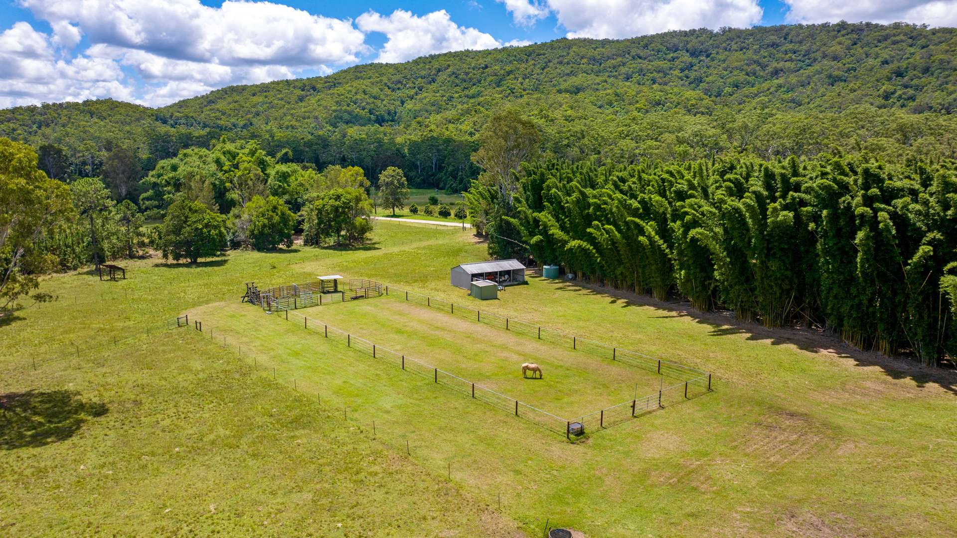 592 Cedar Creek Road, Gheerulla For Sale by Farmbuy.com - image 1