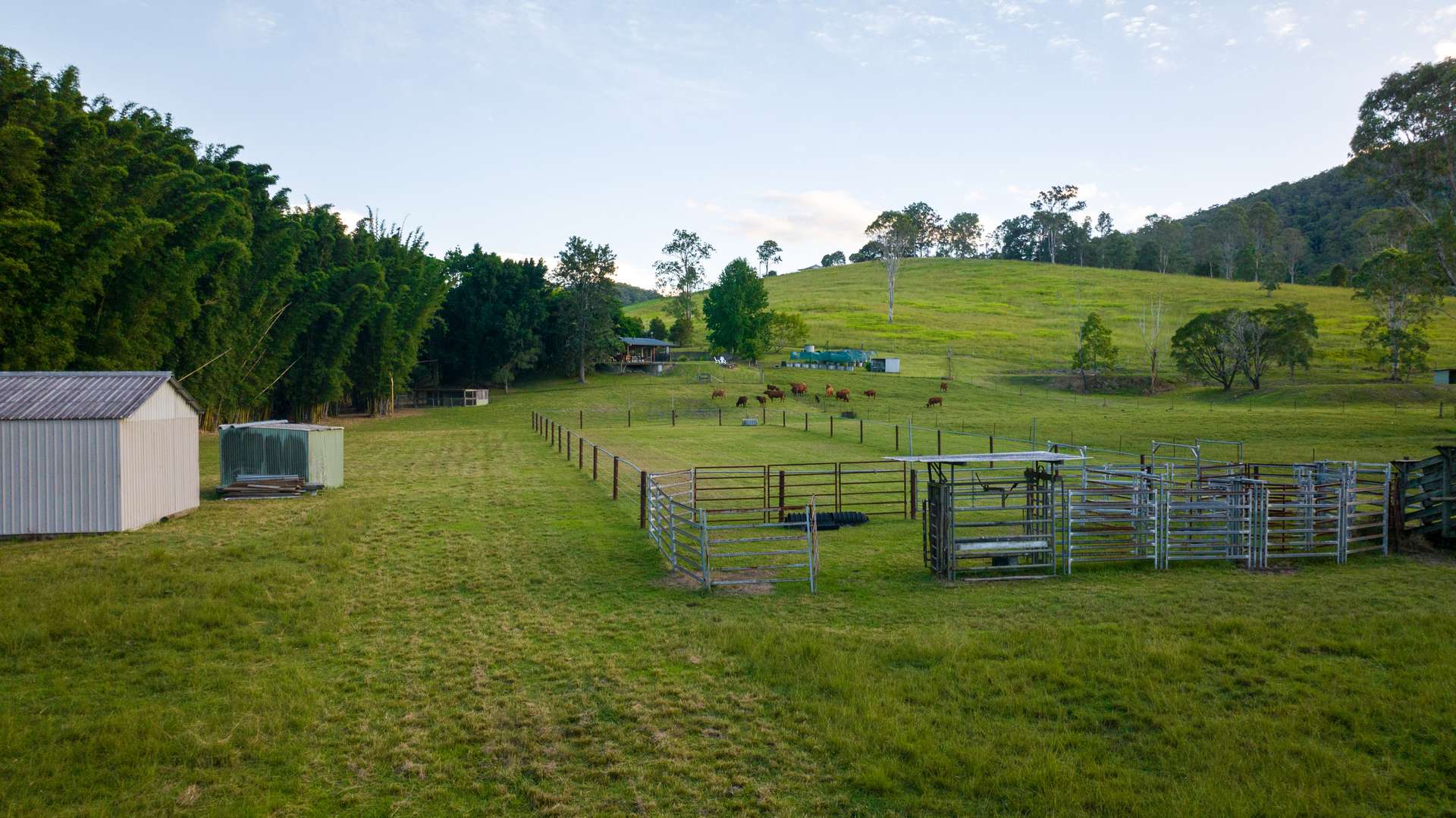 592 Cedar Creek Road, Gheerulla For Sale by Farmbuy.com - image 29