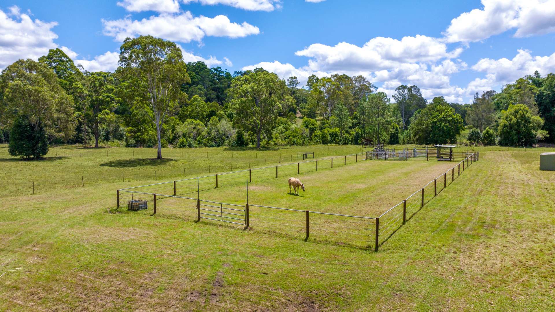 592 Cedar Creek Road, Gheerulla For Sale by Farmbuy.com - image 4