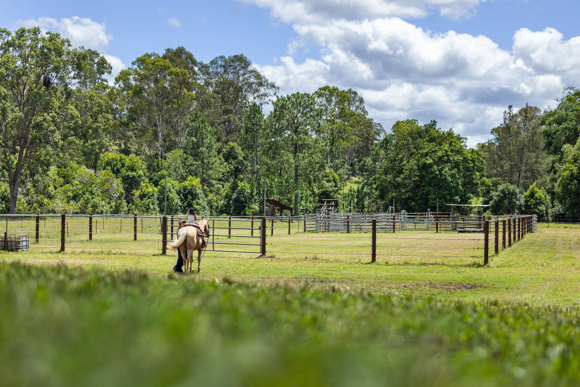 592 Cedar Creek Road, Gheerulla For Sale by Farmbuy.com - image 32