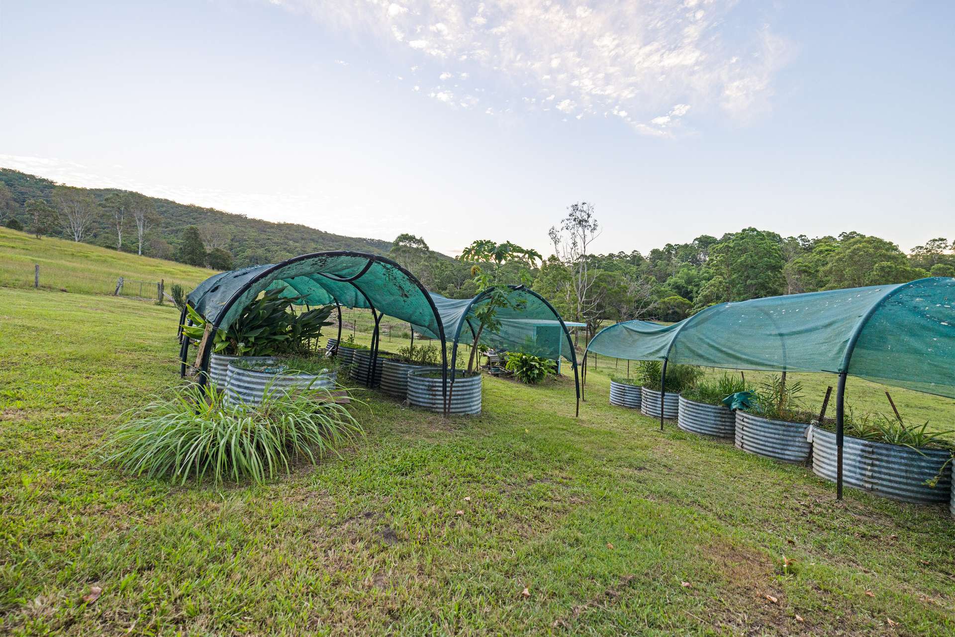 592 Cedar Creek Road, Gheerulla For Sale by Farmbuy.com - image 26