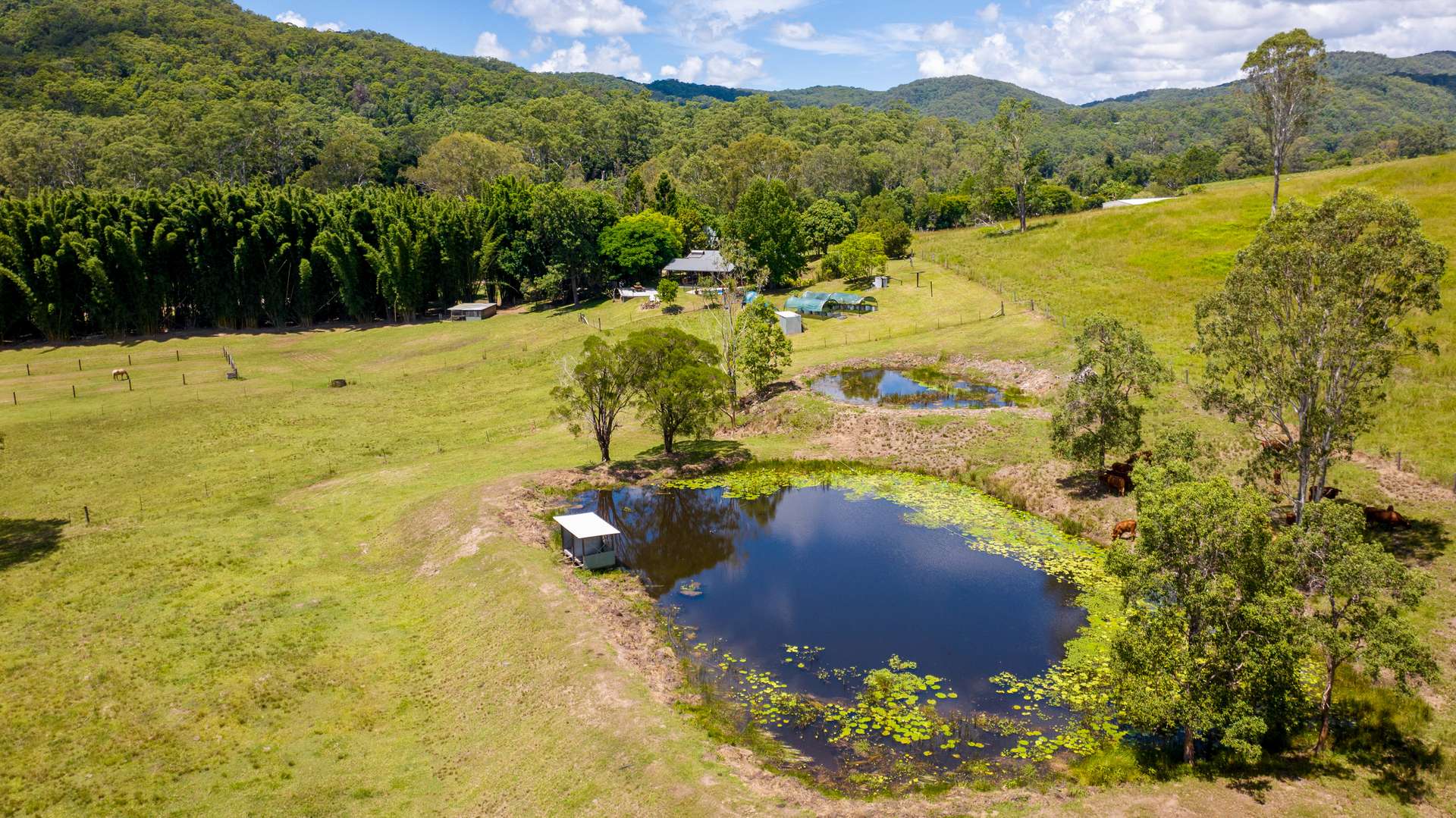 592 Cedar Creek Road, Gheerulla For Sale by Farmbuy.com - image 8