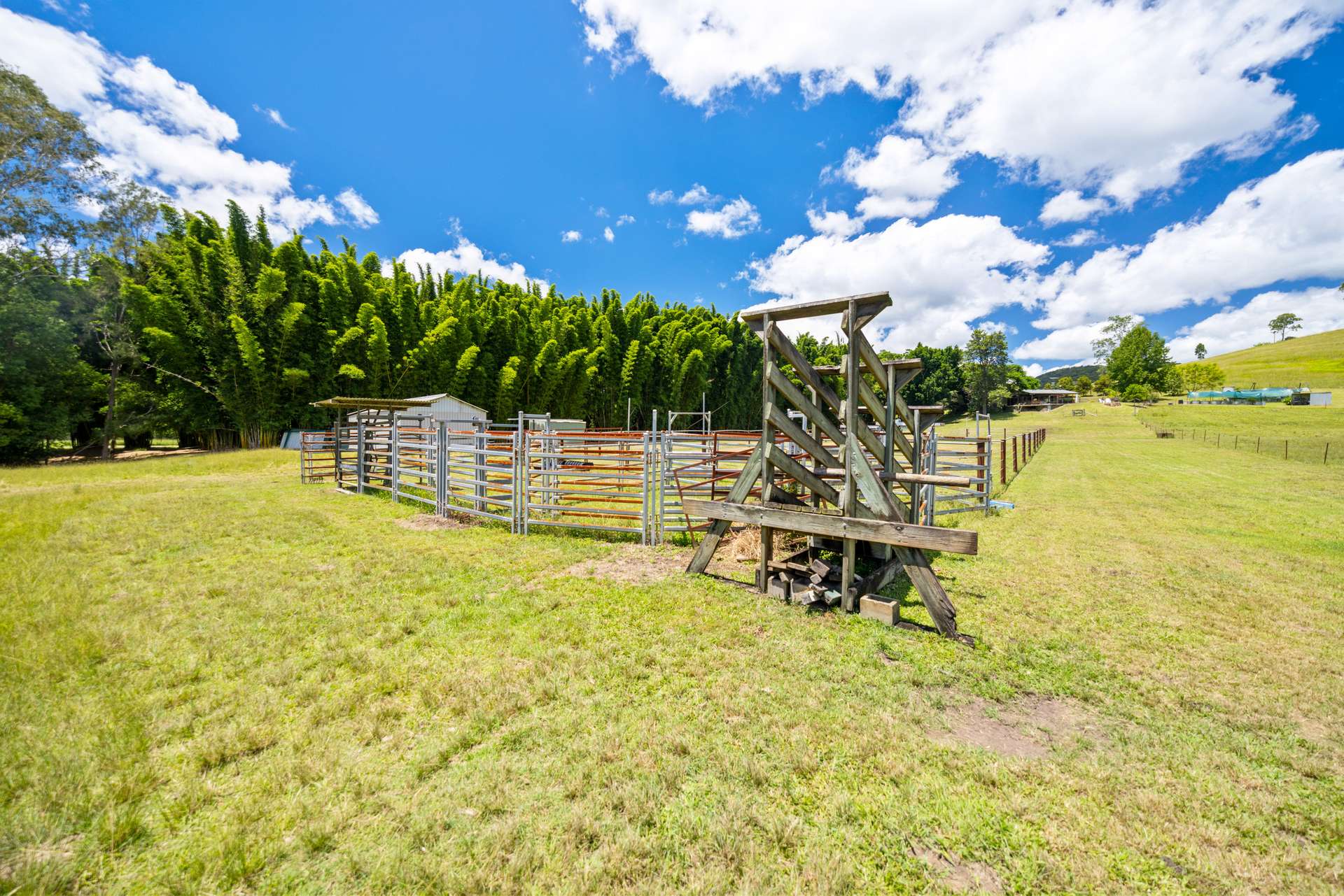 592 Cedar Creek Road, Gheerulla For Sale by Farmbuy.com - image 24