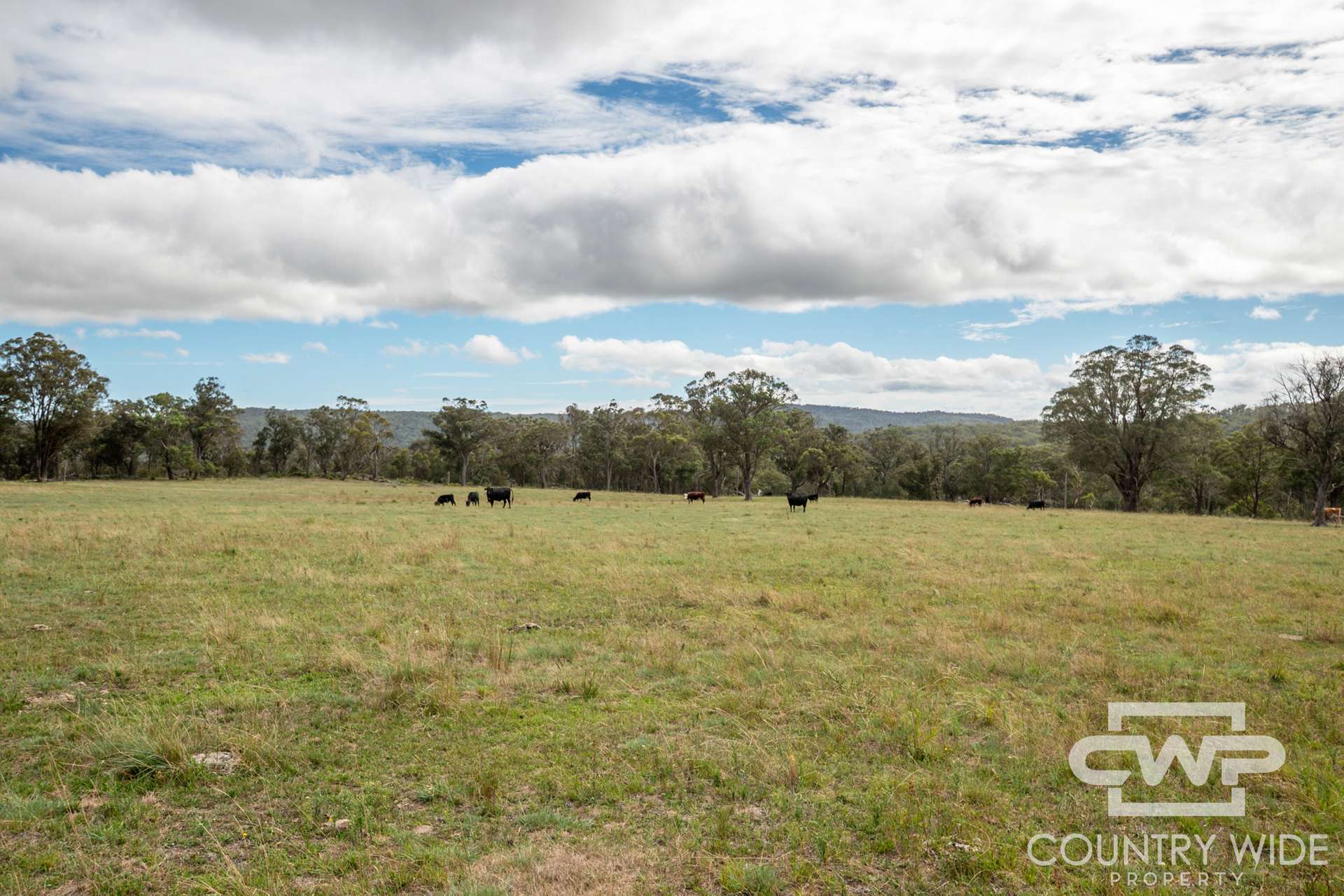 618 Coopers Road, Red Range For Sale by Farmbuy.com - image 17