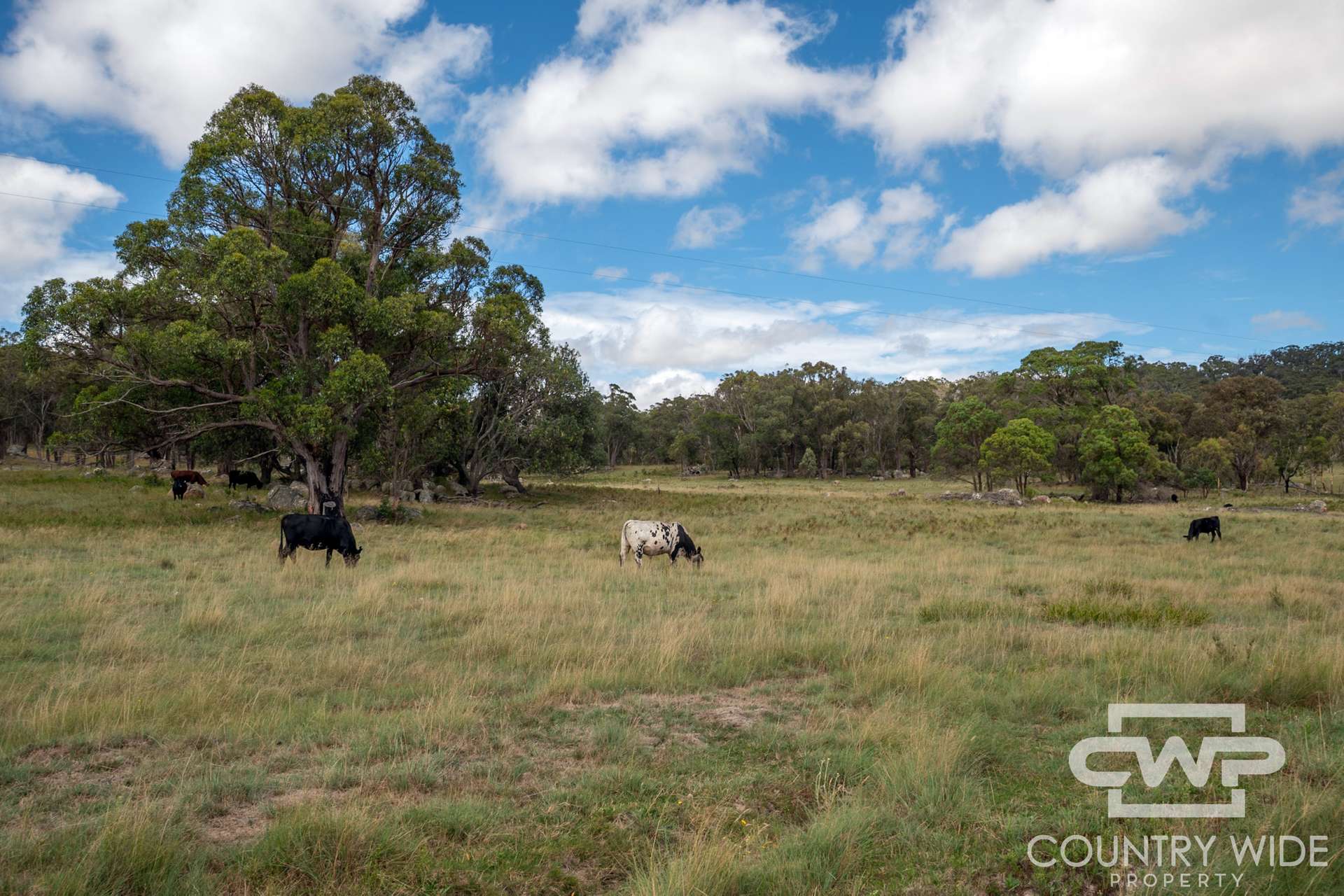 618 Coopers Road, Red Range For Sale by Farmbuy.com - image 22