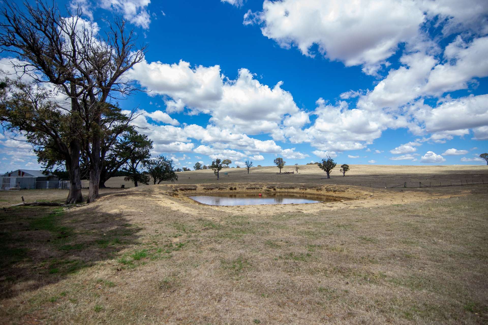 156 Rose Vale Road, Fullerton Via, Crookwell For Sale by Farmbuy.com - image 15