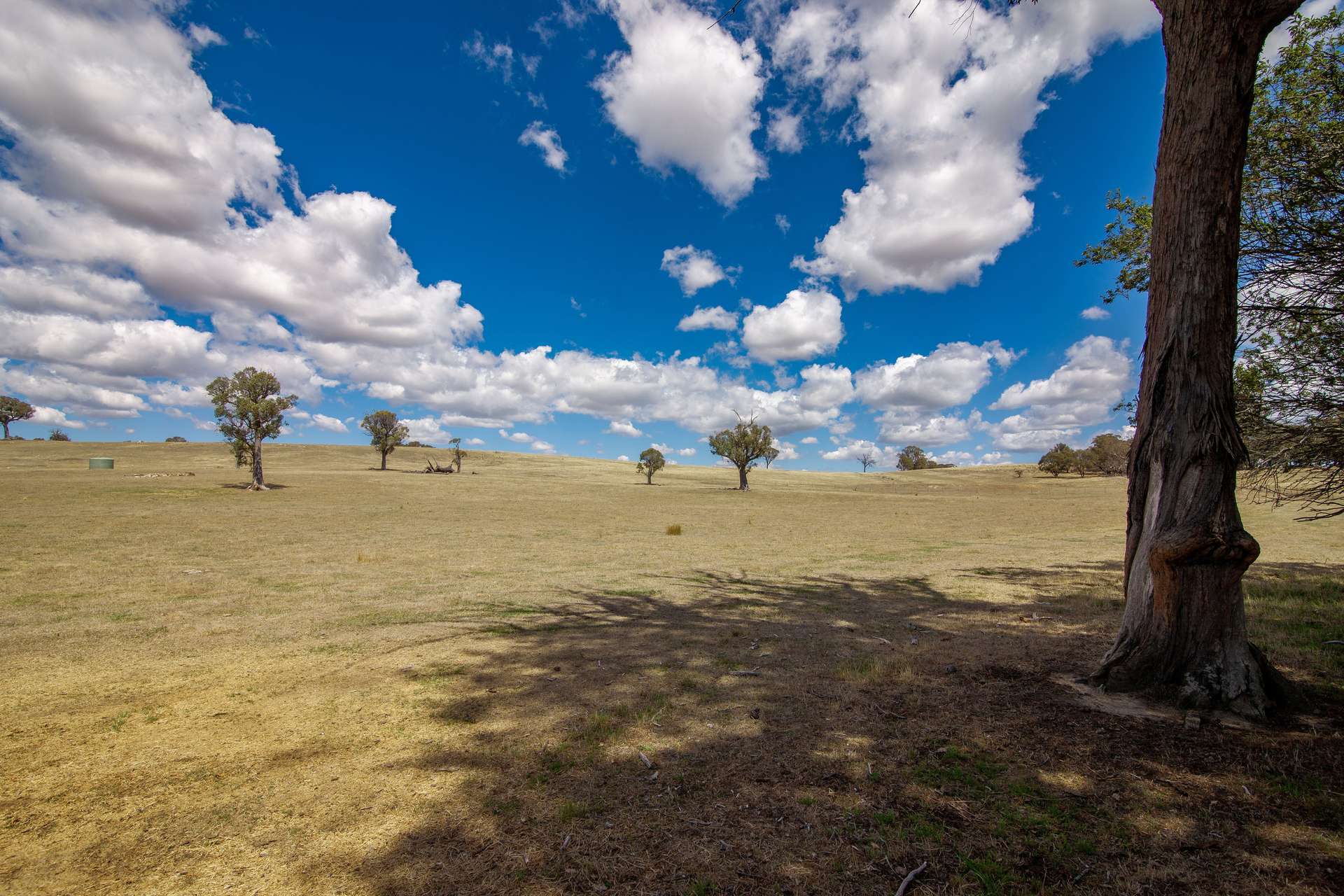 156 Rose Vale Road, Fullerton Via, Crookwell For Sale by Farmbuy.com - image 16