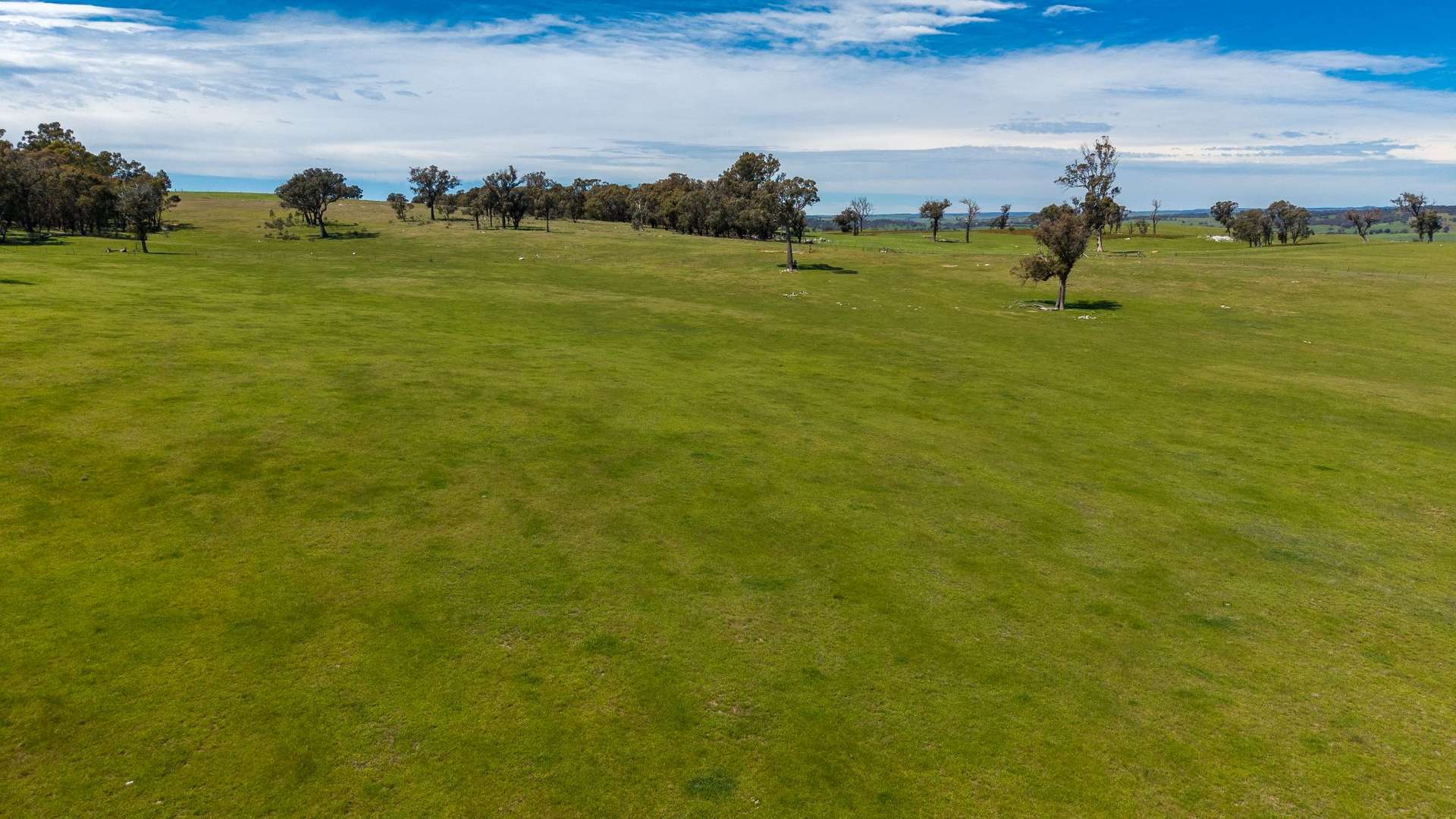 156 Rose Vale Road, Fullerton Via, Crookwell For Sale by Farmbuy.com - image 16
