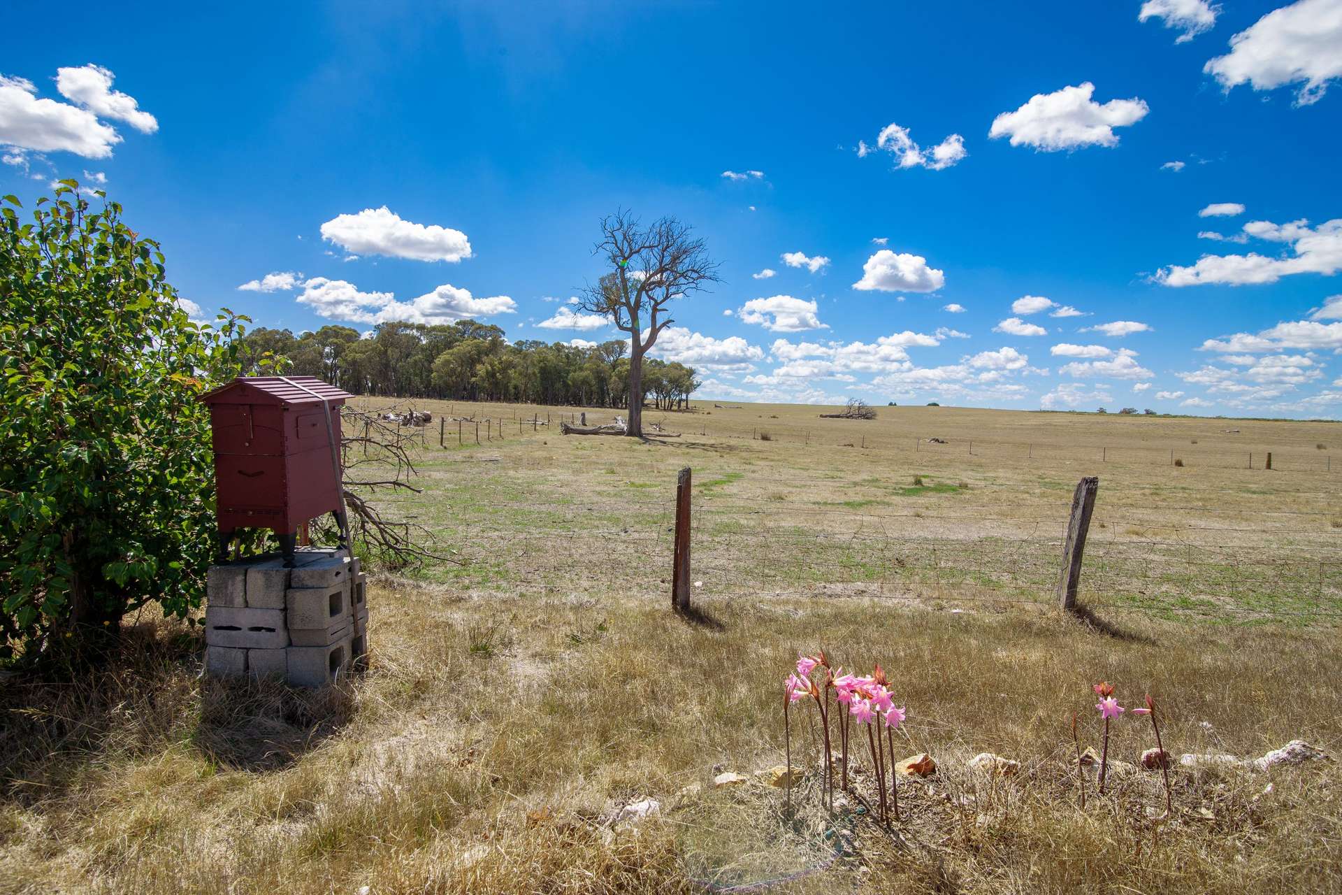 156 Rose Vale Road, Fullerton Via, Crookwell For Sale by Farmbuy.com - image 12