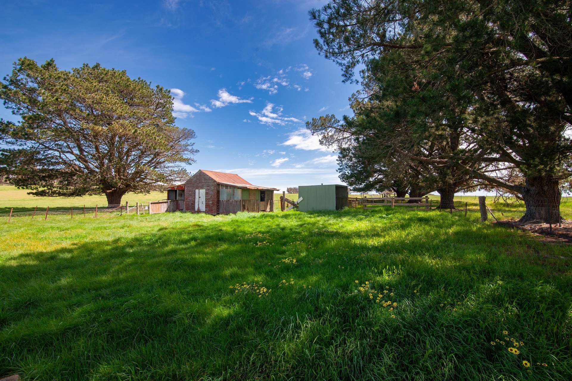 156 Rose Vale Road, Fullerton Via, Crookwell For Sale by Farmbuy.com - image 11
