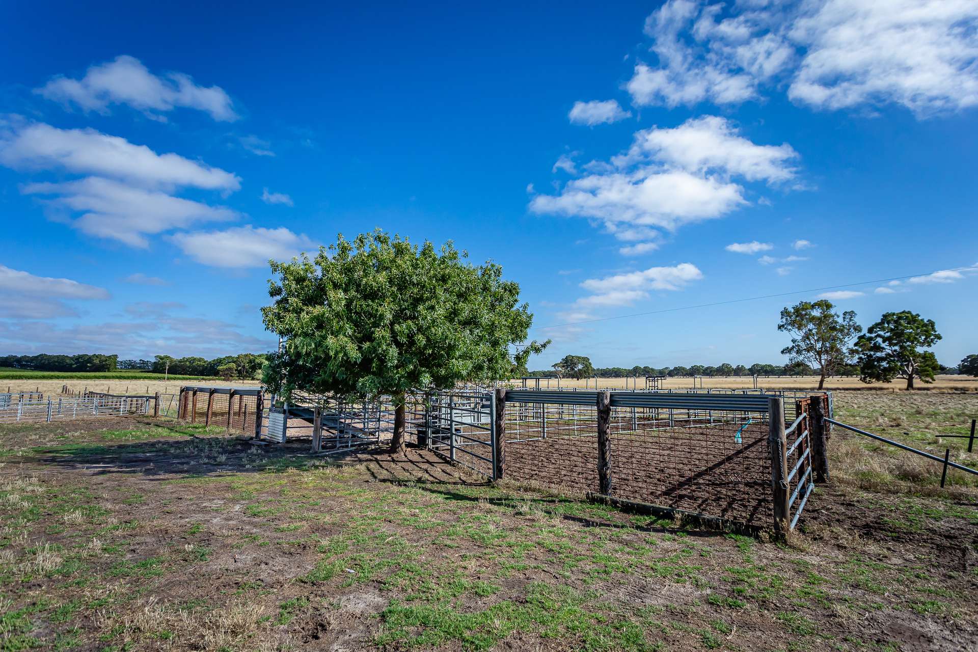 524 Bool Lagoon West Road, Bool Lagoon For Sale by Farmbuy.com - image 9