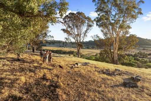 155 Shanks Lane, Boorolite VIC 3723