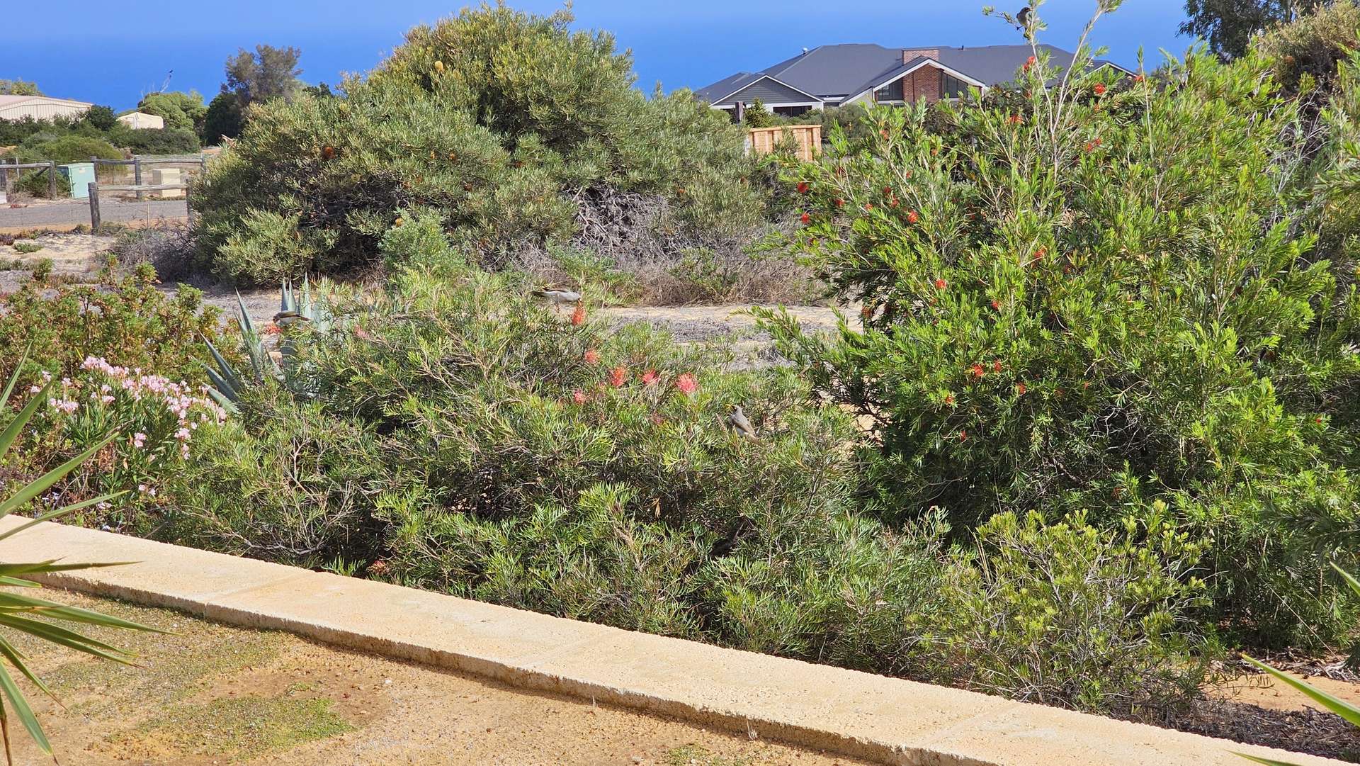 8 Explorer Avenue, Kalbarri For Sale by Farmbuy.com - image 21
