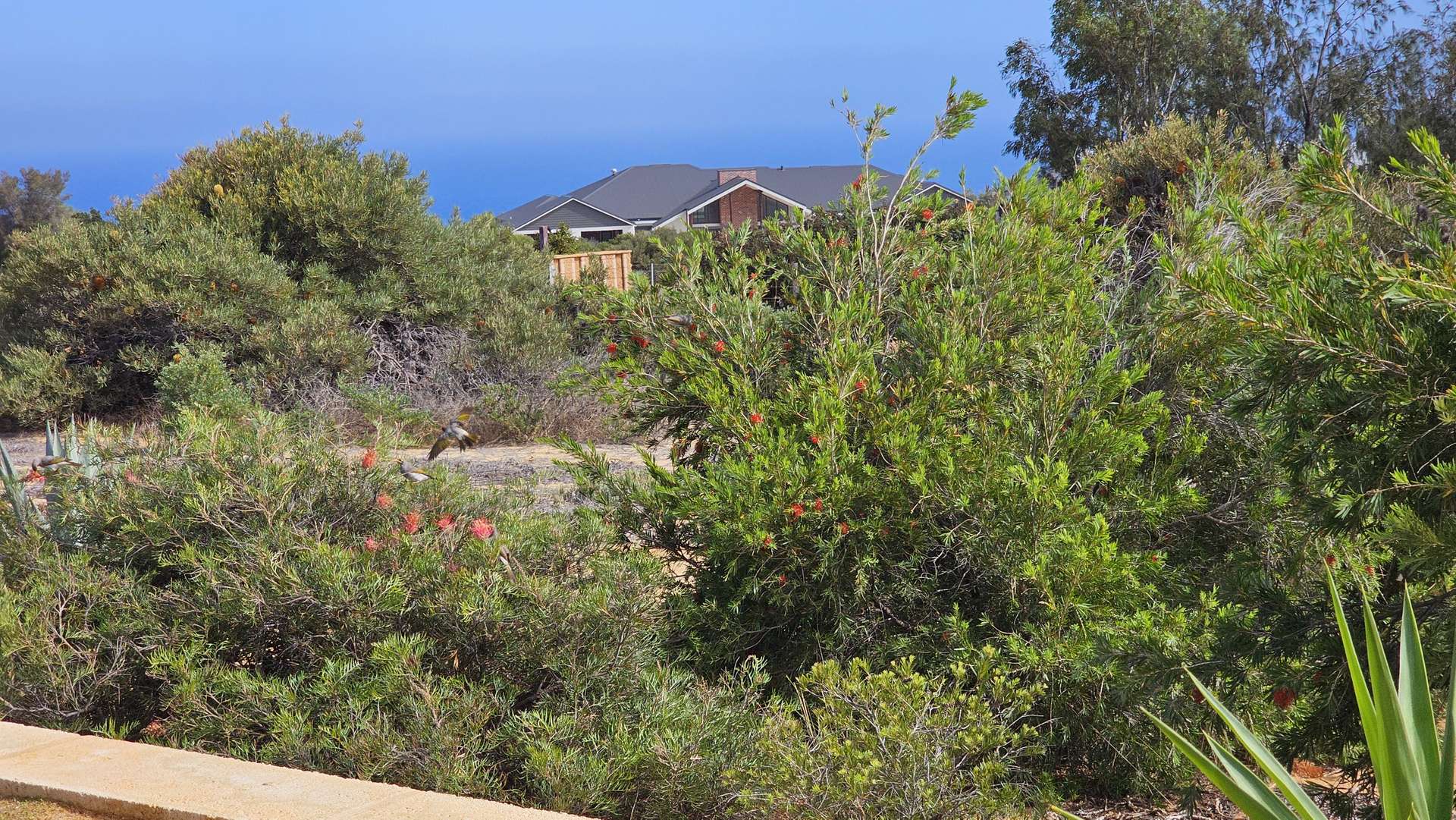 8 Explorer Avenue, Kalbarri For Sale by Farmbuy.com - image 19