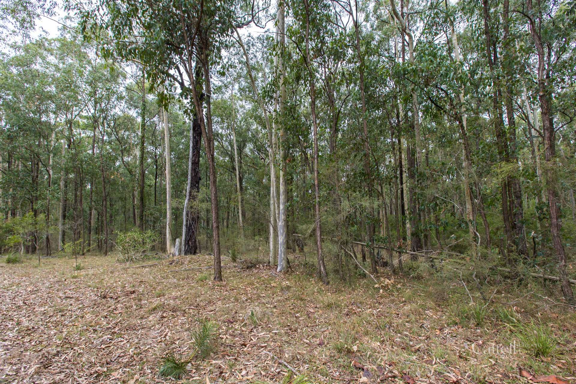 Lot 41 Bakers Lane, Sawyers Gully Sold by Farmbuy.com - image 13