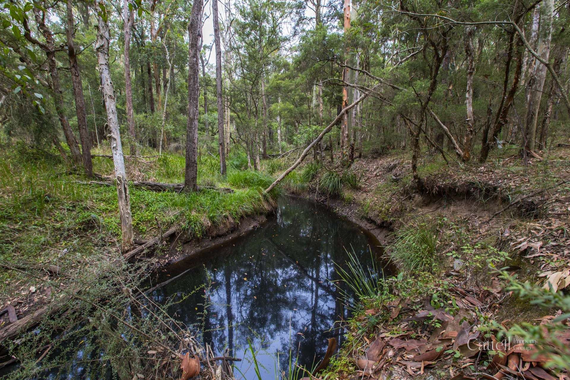 Lot 41 Bakers Lane, Sawyers Gully Sold by Farmbuy.com - image 7