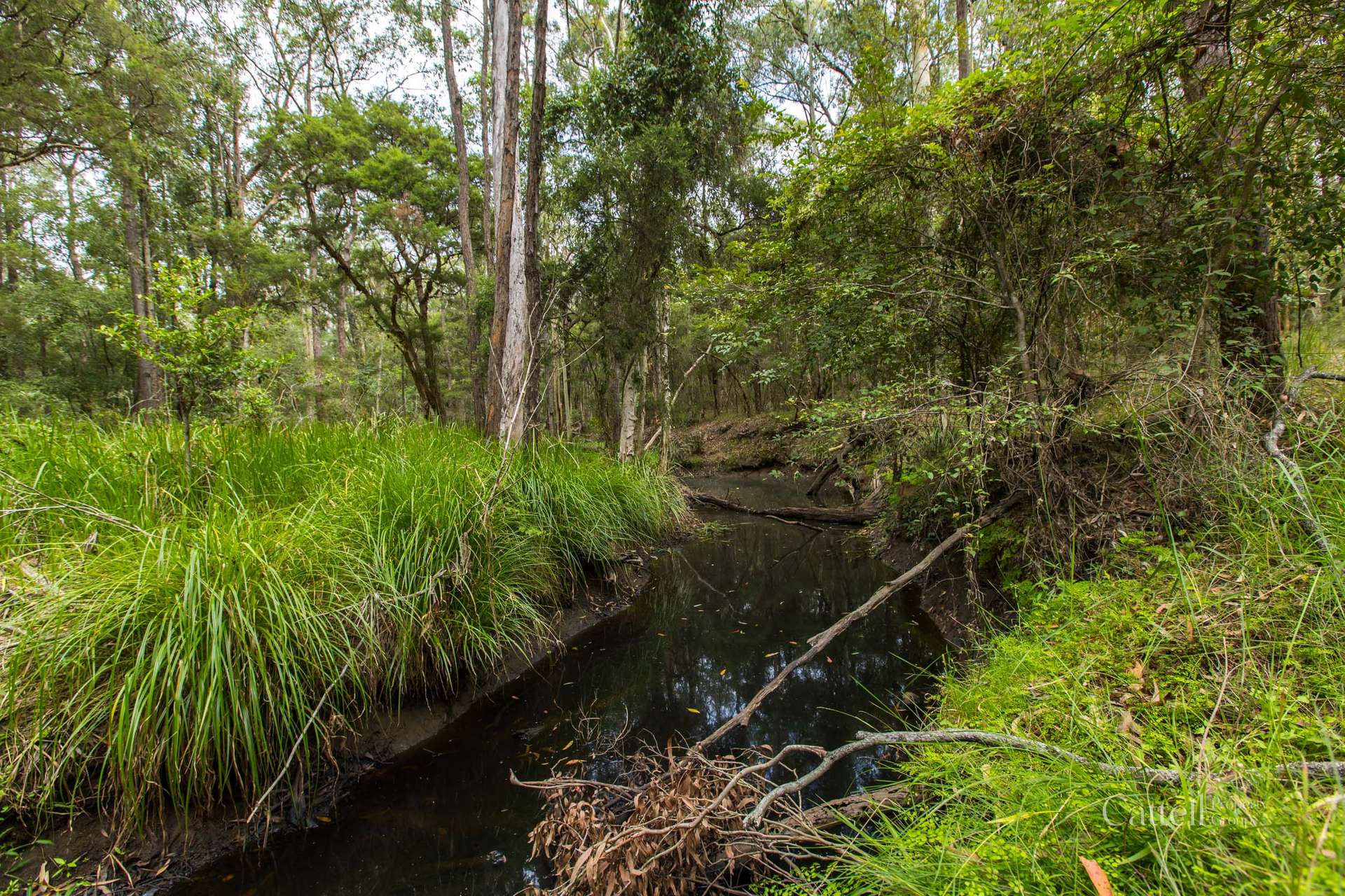 Lot 41 Bakers Lane, Sawyers Gully Sold by Farmbuy.com - image 2