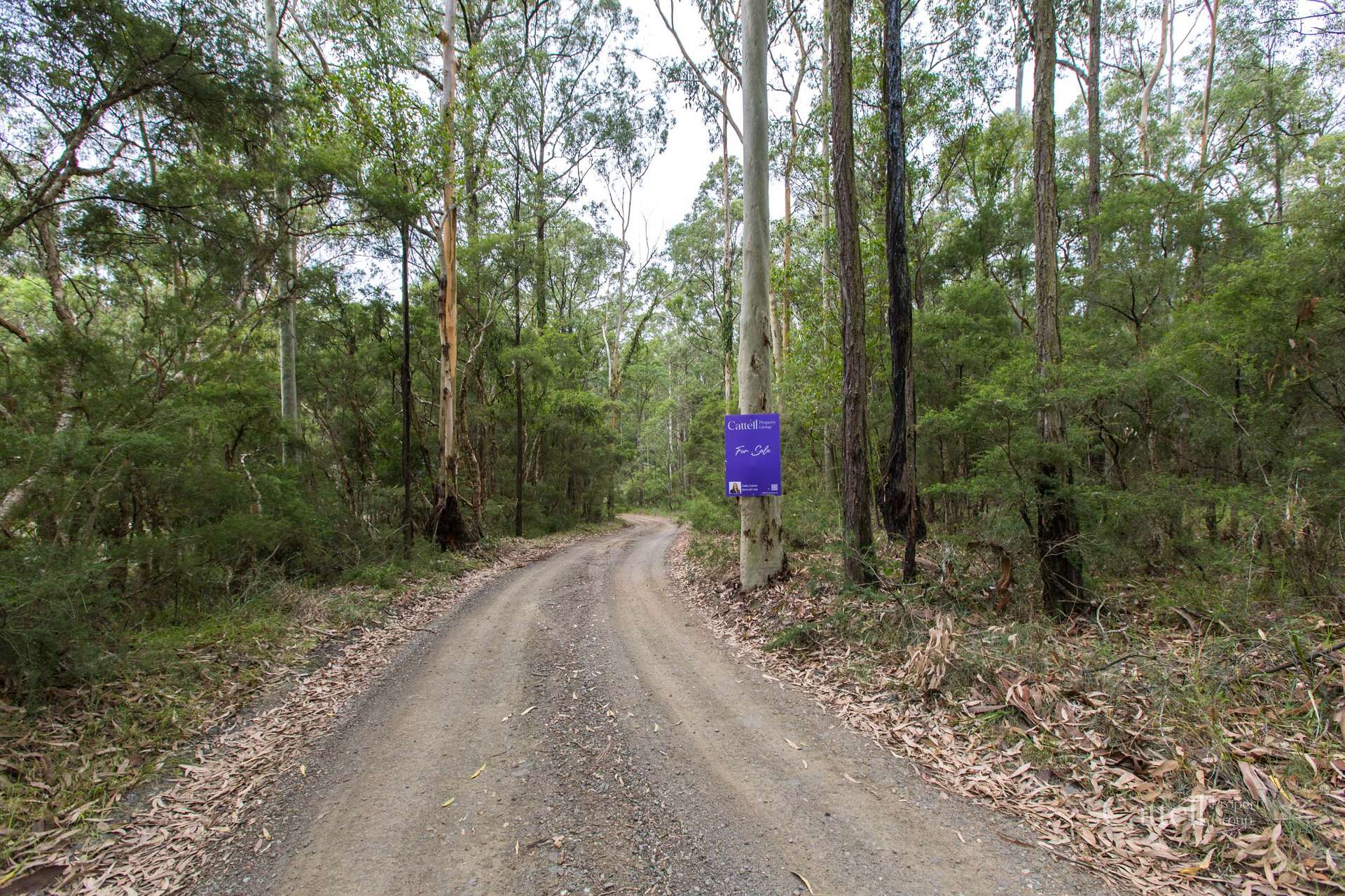 Lot 41 Bakers Lane, Sawyers Gully Sold by Farmbuy.com - image 4