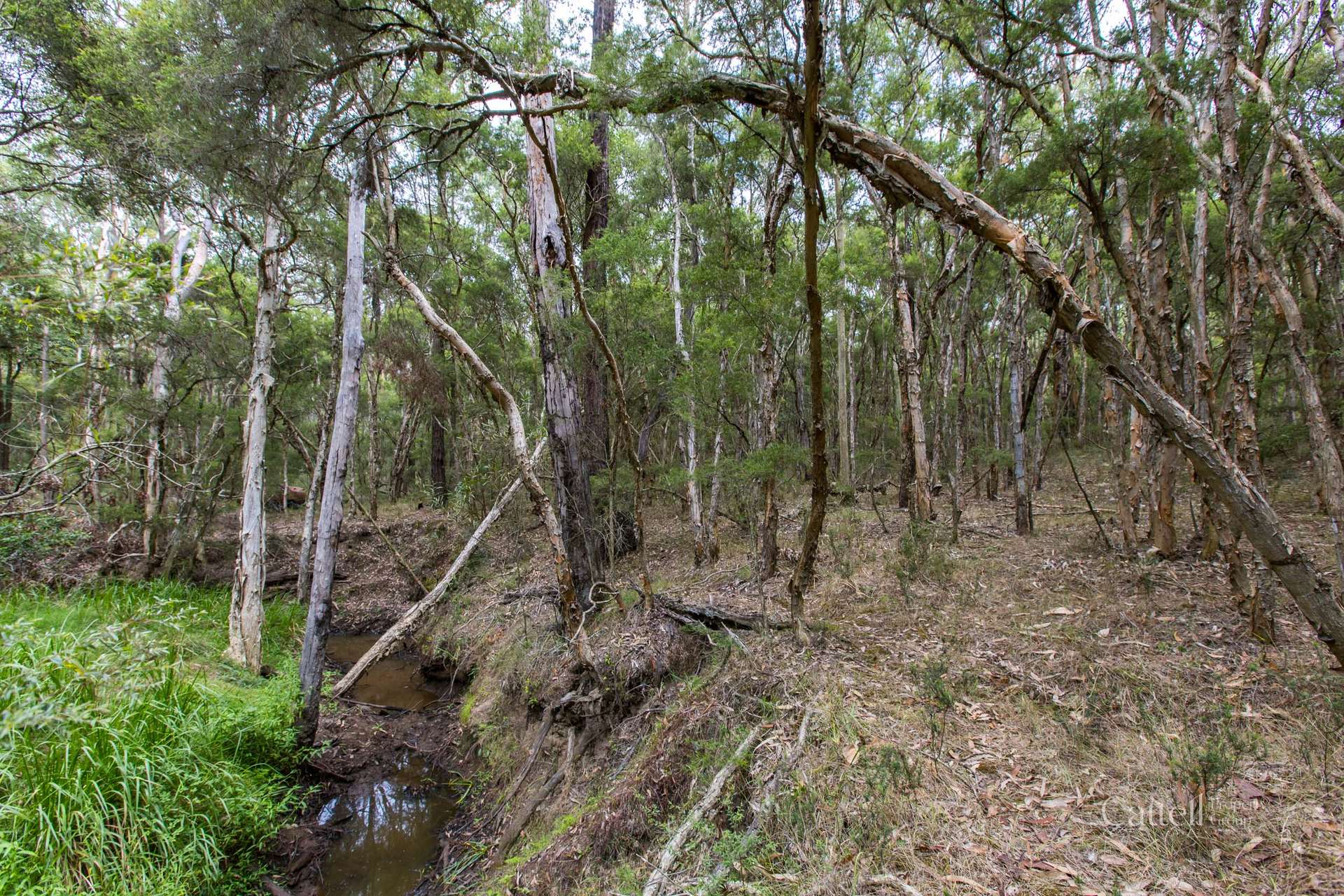 Lot 41 Bakers Lane, Sawyers Gully Sold by Farmbuy.com - image 9