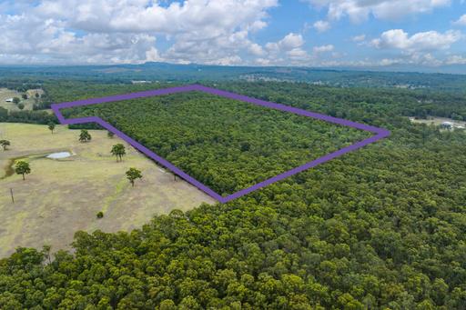 Farm Sold - NSW - Sawyers Gully - 2326 - Rare 97-Acre Bushland Opportunity - Central Yet Private 