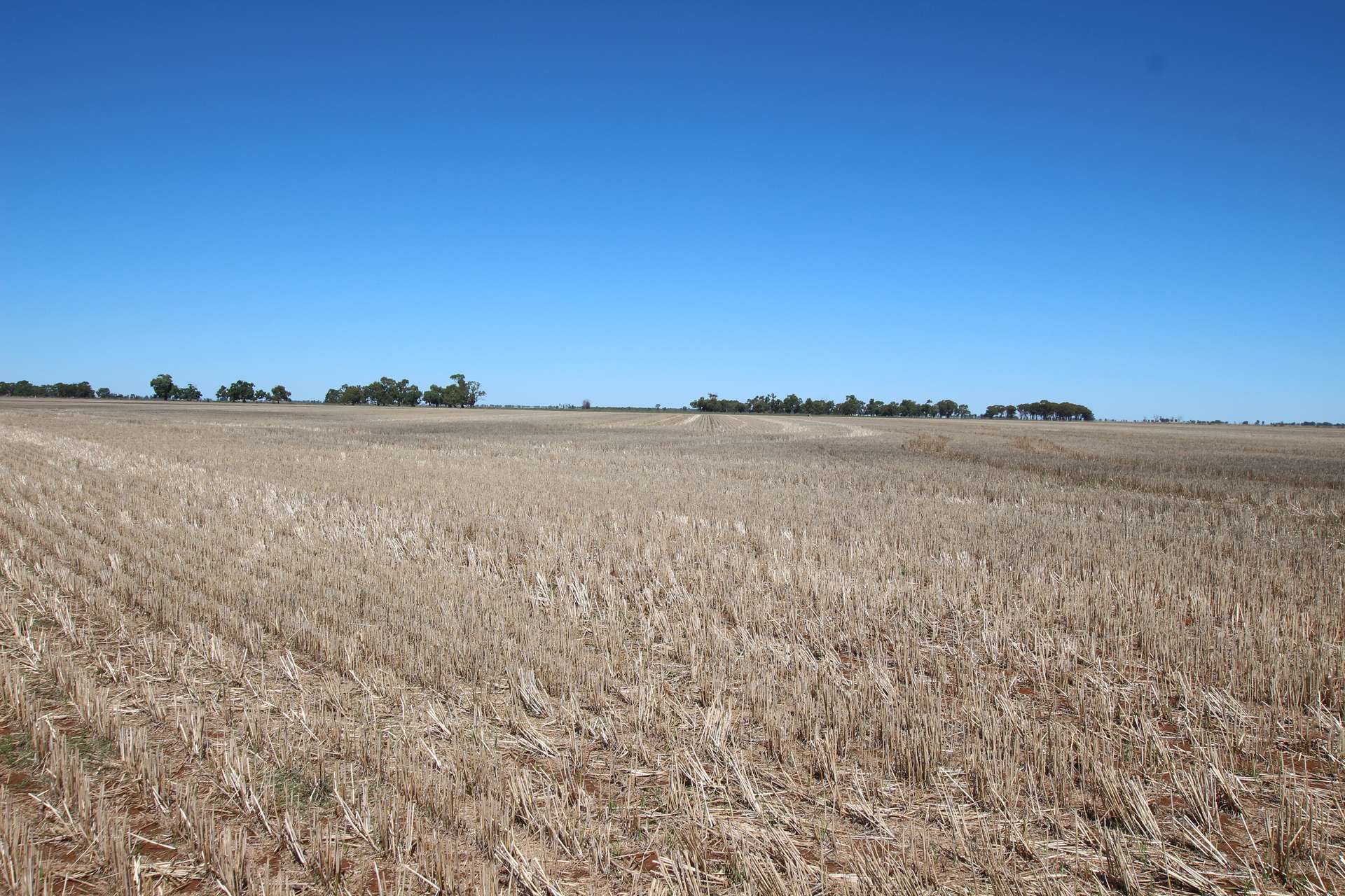 _ Millar Road, Mitiamo For Sale by Farmbuy.com - image 27
