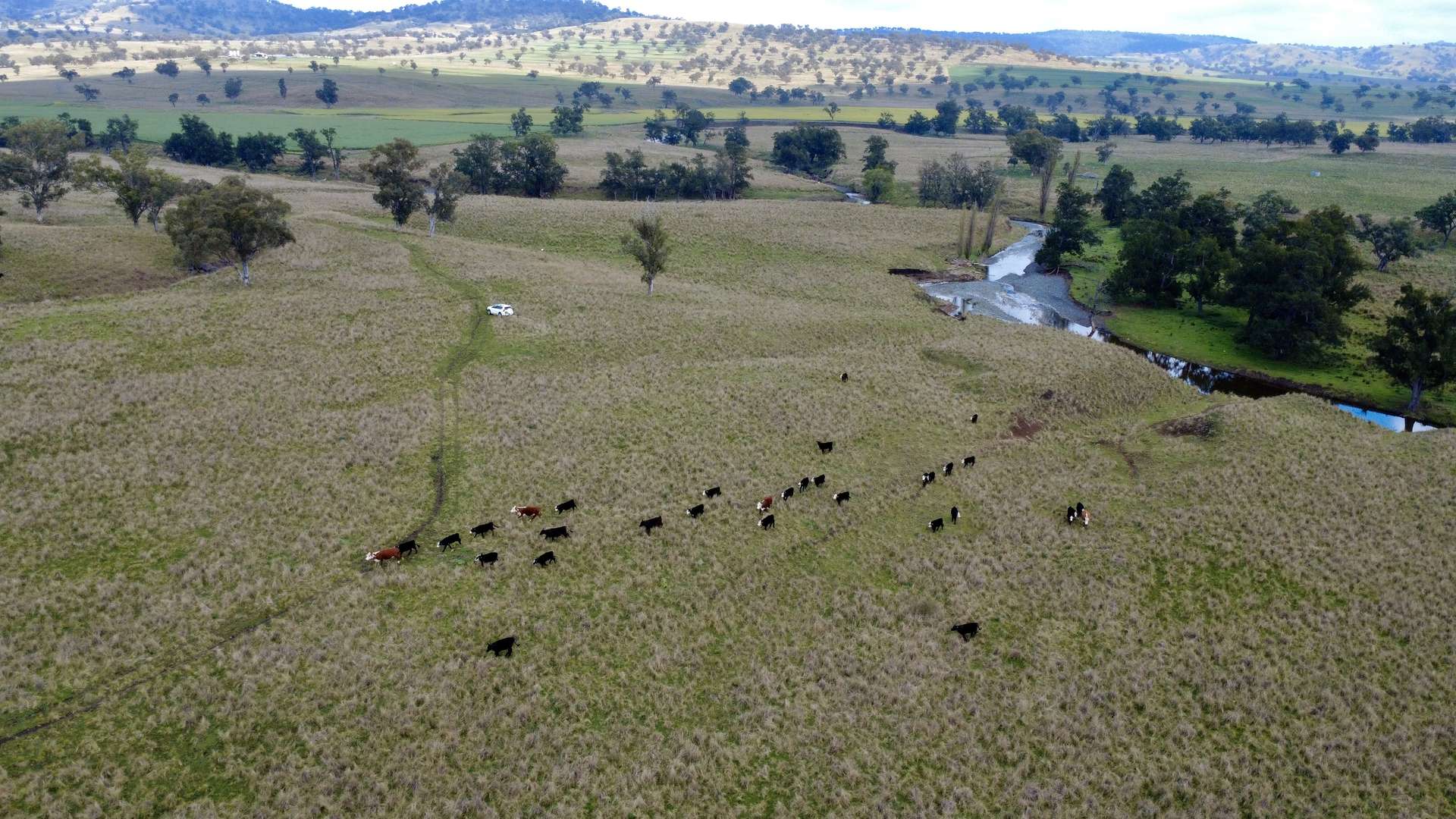 955 "Wirringulla" Coulsons Creek Road, Merriwa Sold by Farmbuy.com - image 1