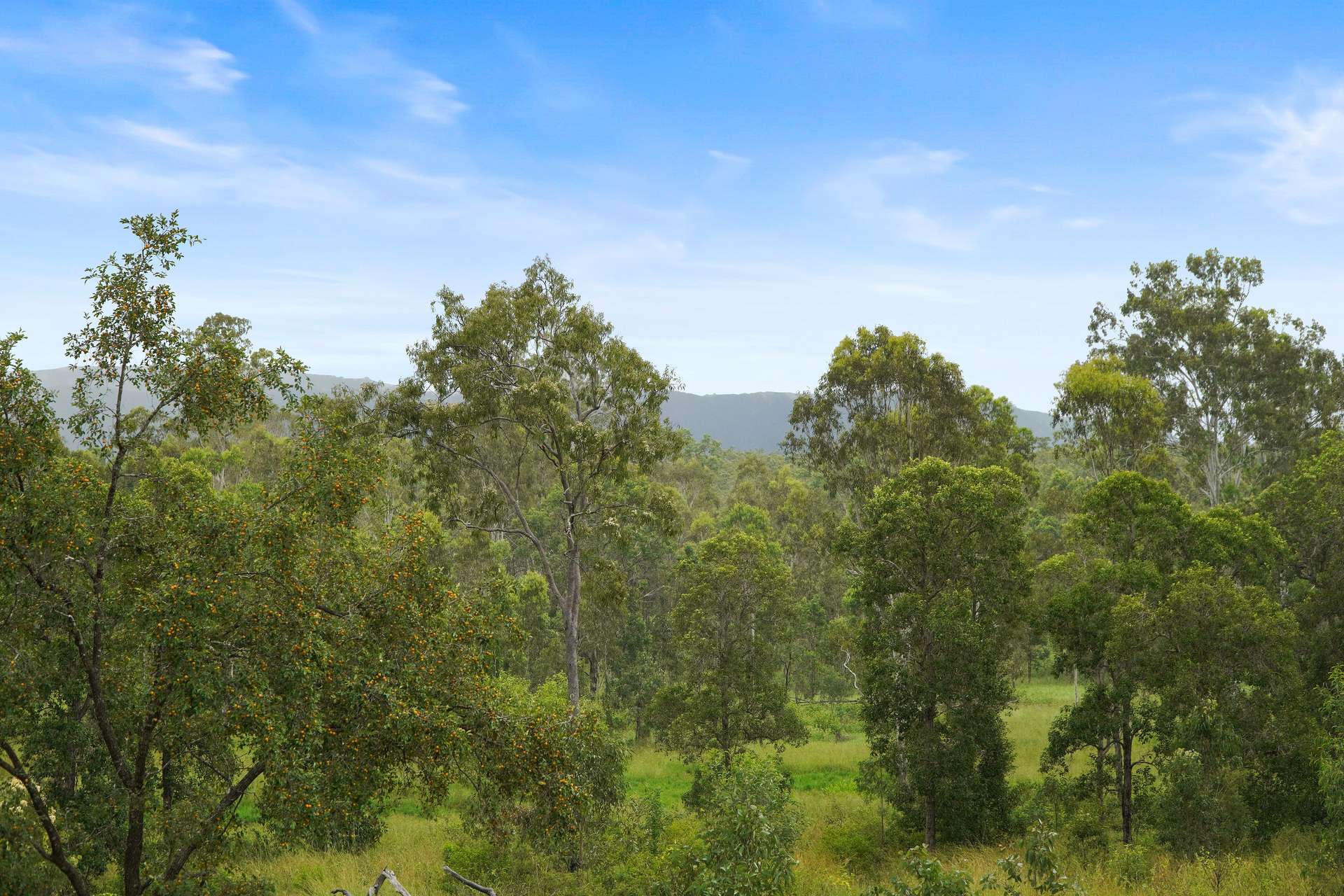 21 Beaumanor Road, Lowmead For Sale by Farmbuy.com - image 12