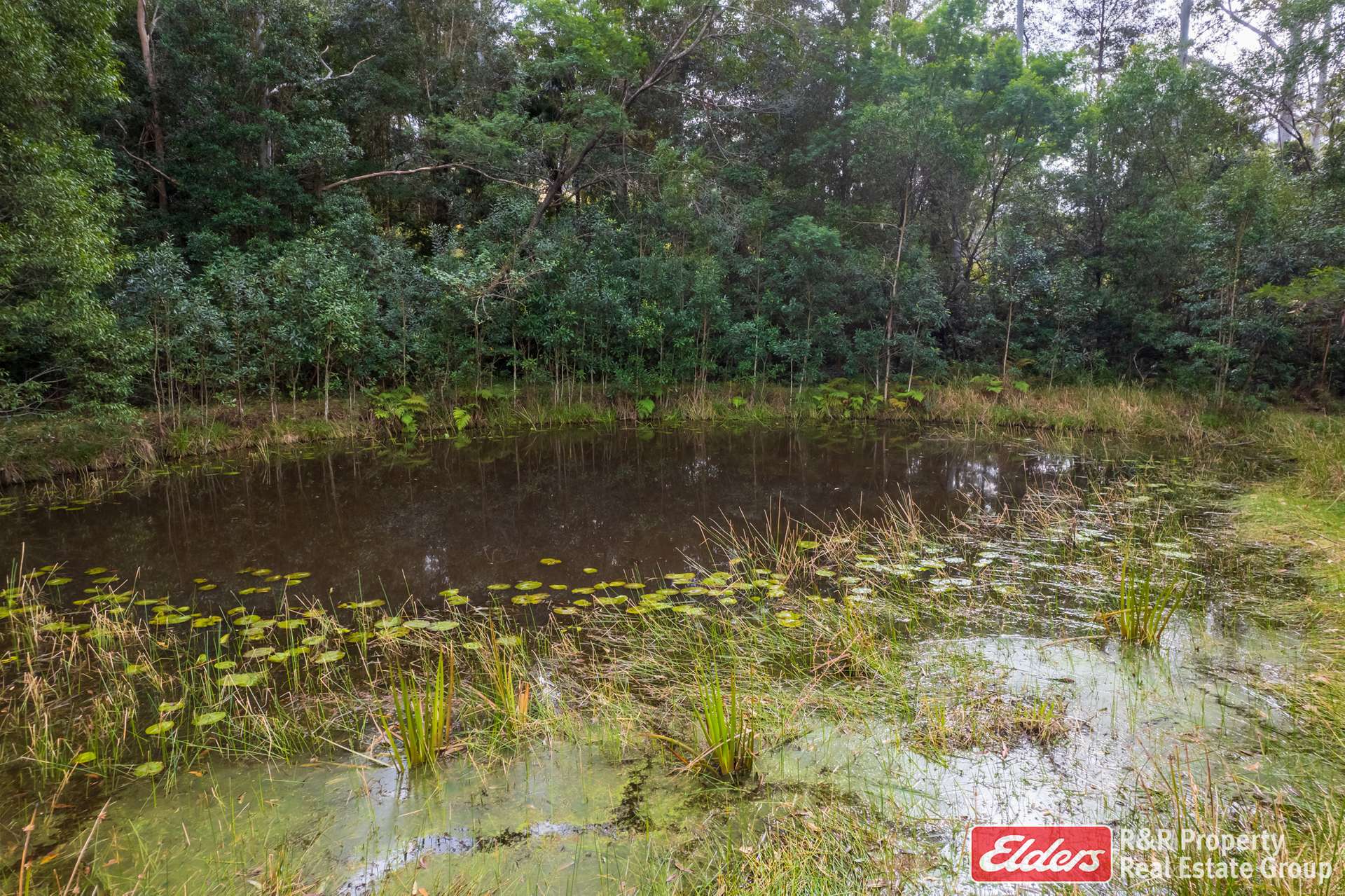 646 Newmans Road, Wootton For Sale by Farmbuy.com - image 27