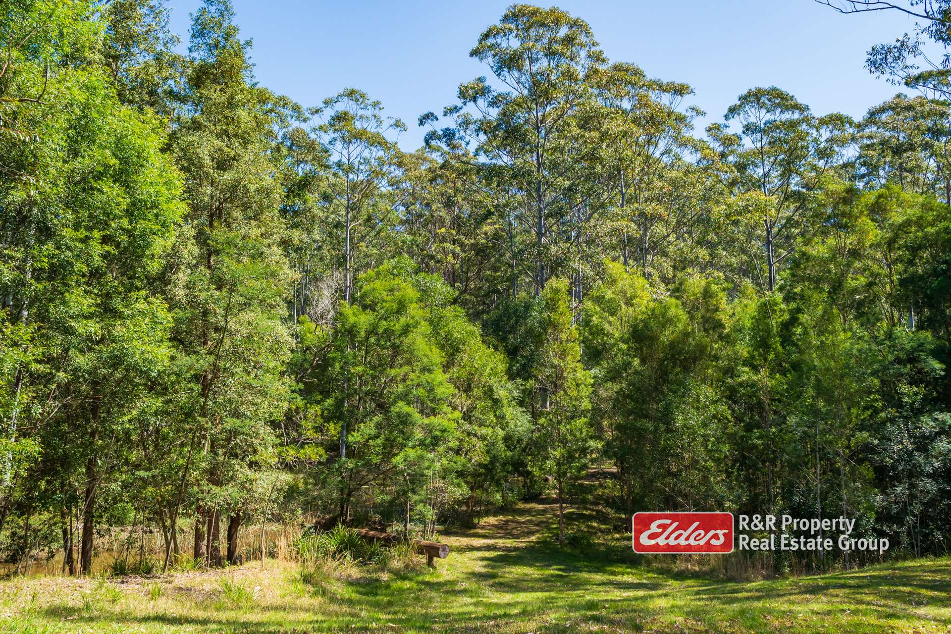646 Newmans Road, Wootton For Sale by Farmbuy.com - image 31