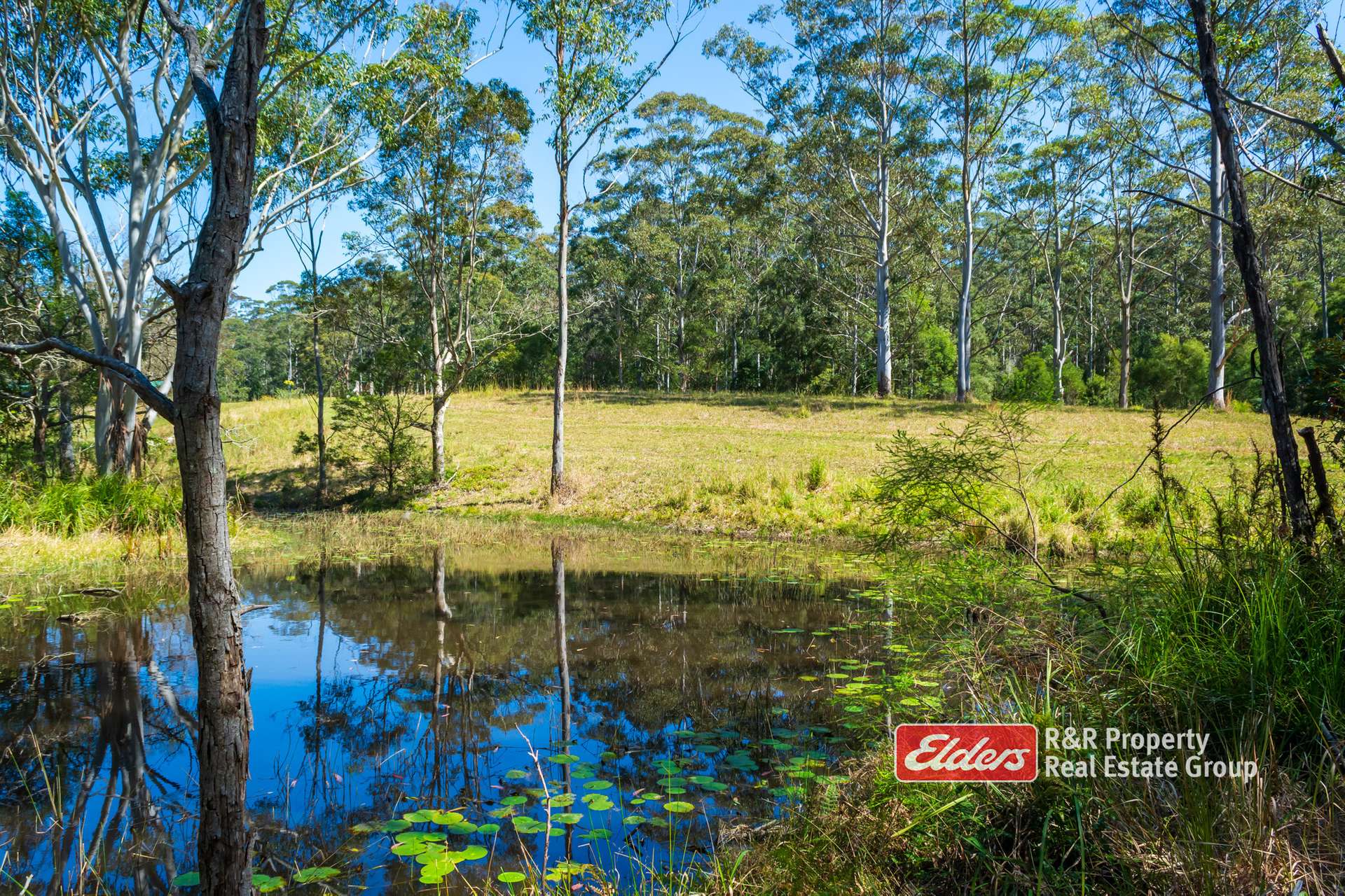 646 Newmans Road, Wootton For Sale by Farmbuy.com - image 25