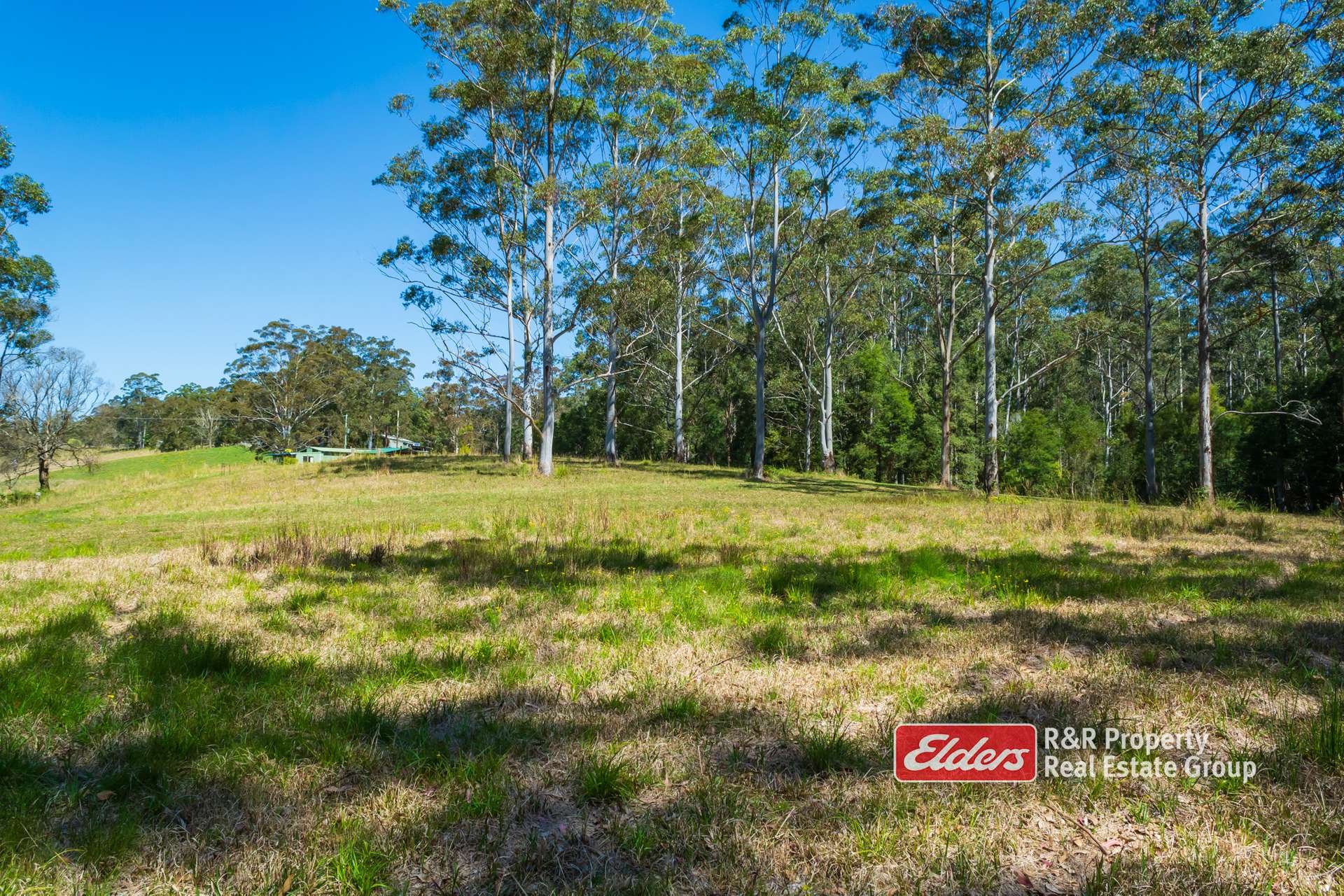 646 Newmans Road, Wootton For Sale by Farmbuy.com - image 29