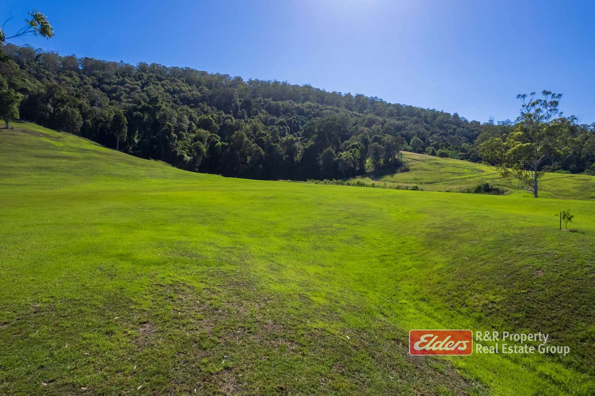 444 Mimi Creek Road, Krambach For Sale by Farmbuy.com - image 19