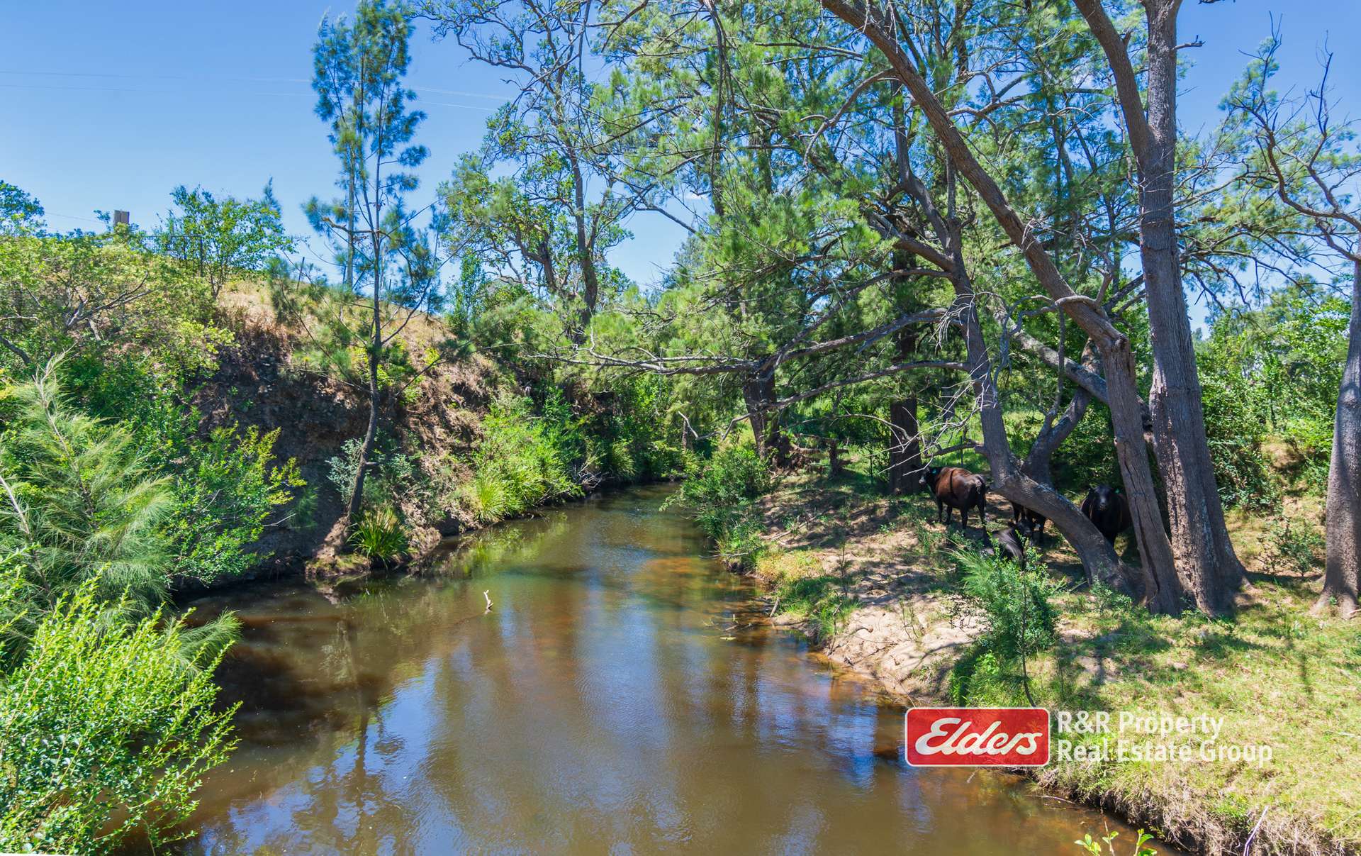 135 Crowthers Road -   Stratford Via, Gloucester For Sale by Farmbuy.com - image 27