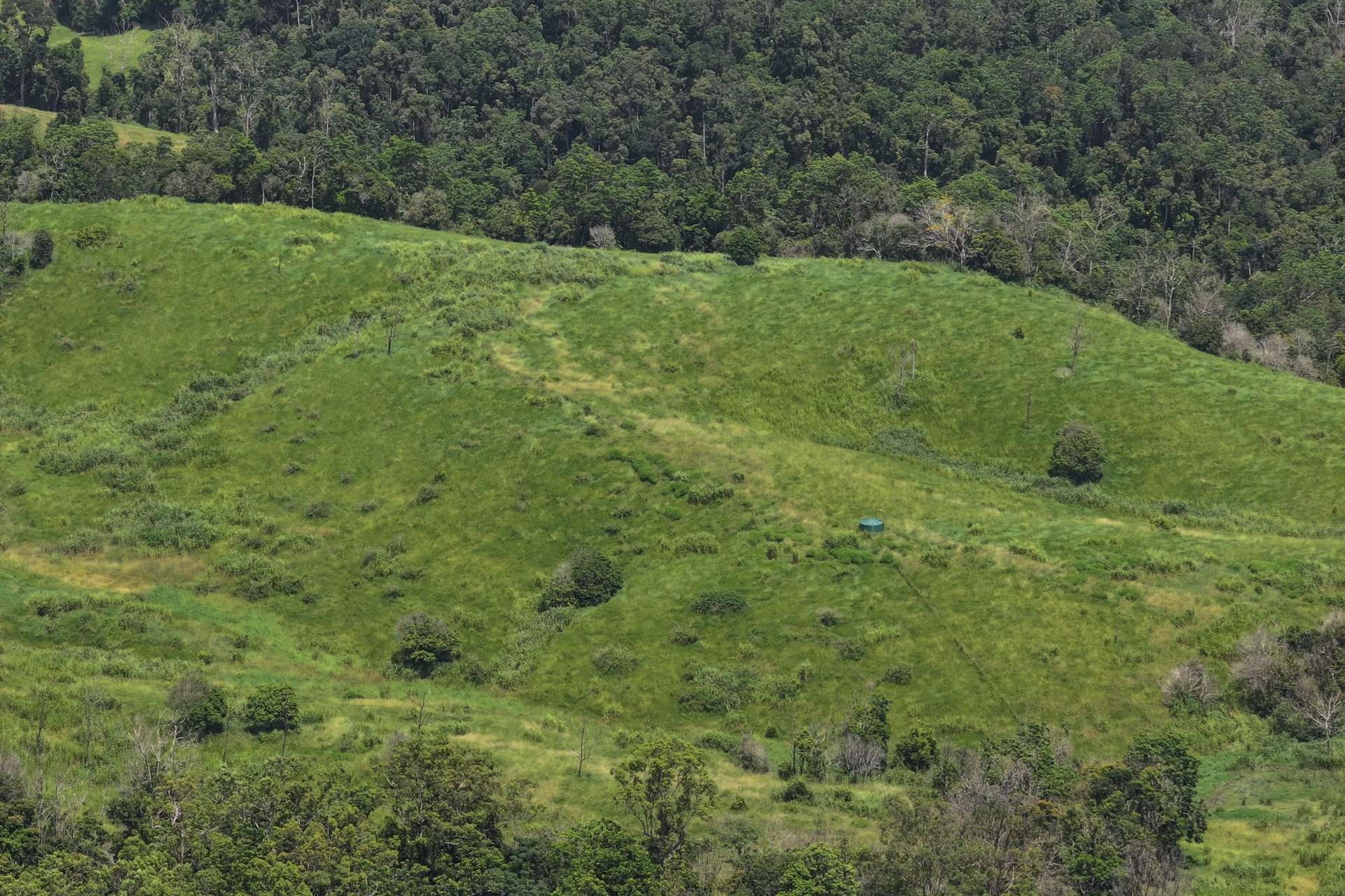 54 Camilleris Road, Mount Charlton For Sale by Farmbuy.com - image 8