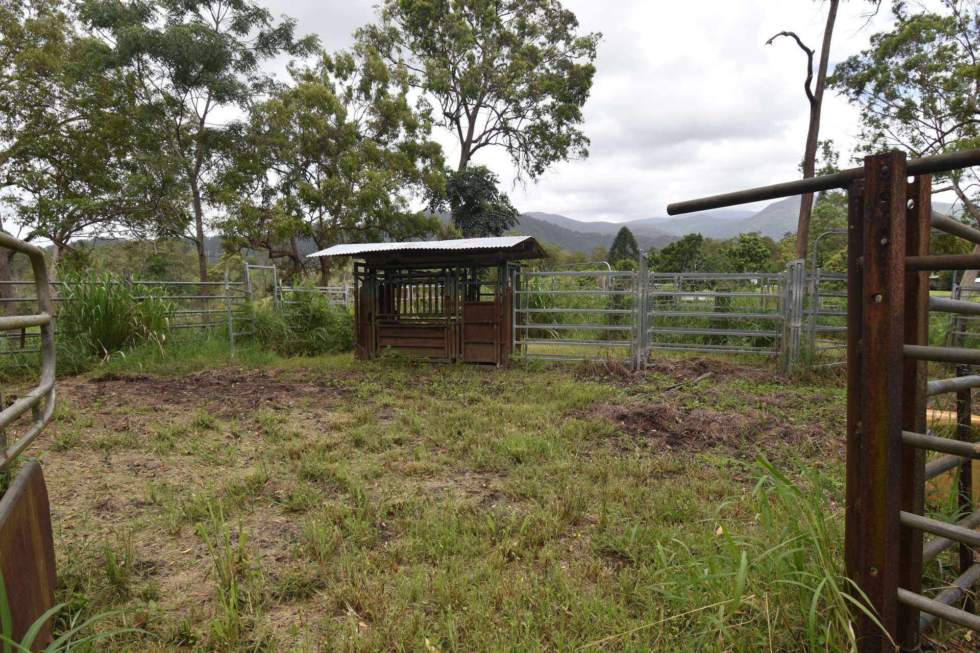 54 Camilleris Road, Mount Charlton For Sale by Farmbuy.com - image 23