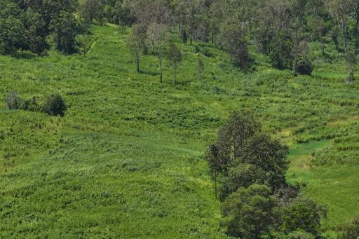 54 Camilleris Road, Mount Charlton QLD 4741