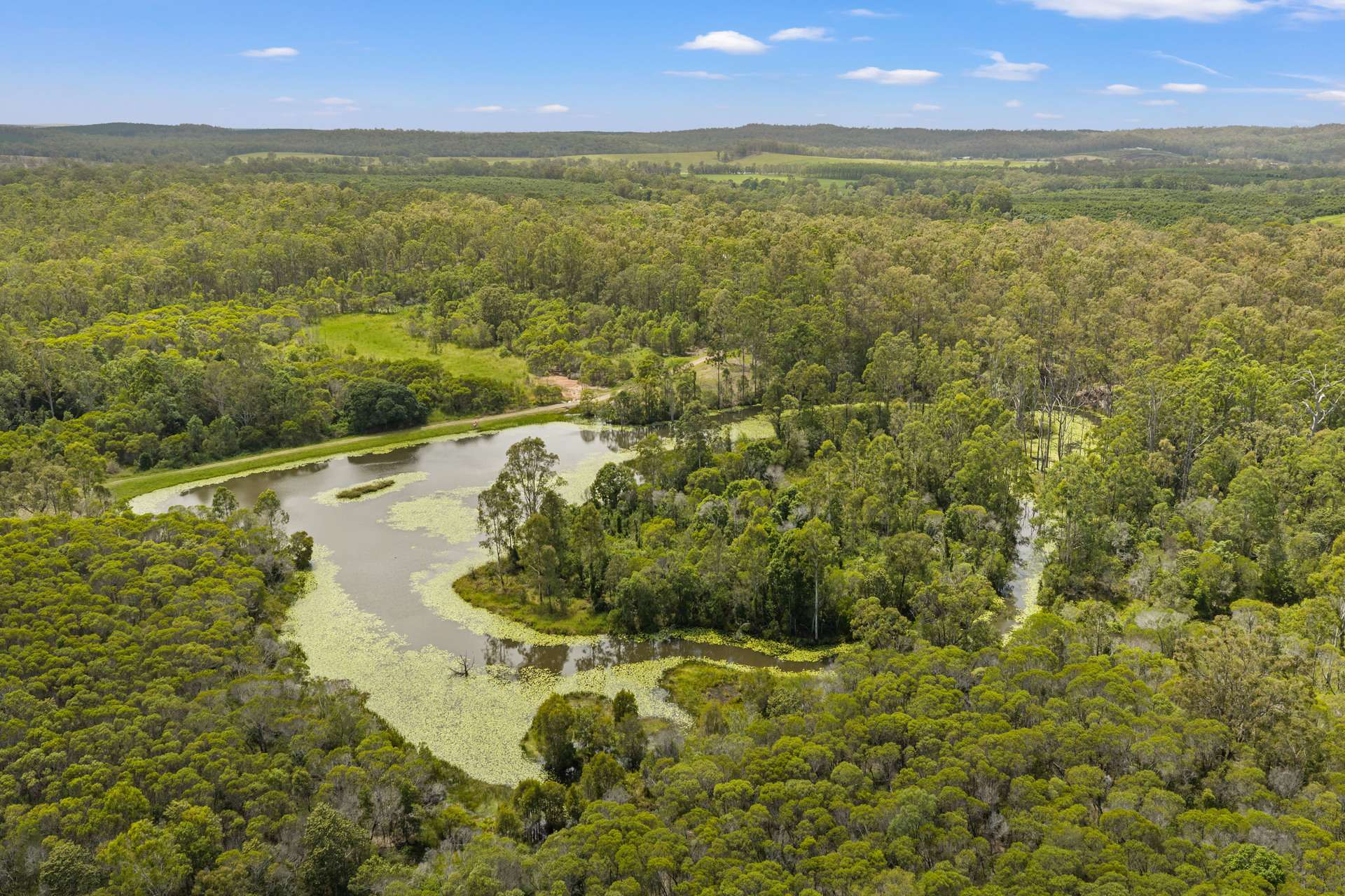 107 Baloghs Road, Anderleigh For Sale by Farmbuy.com - image 28