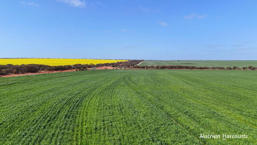 2342 Emu Hill Road East, South Kumminin WA 6368