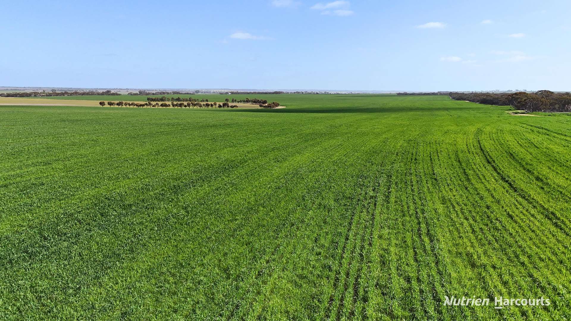 2342 Emu Hill Road East, South Kumminin For Sale by Farmbuy.com - image 4
