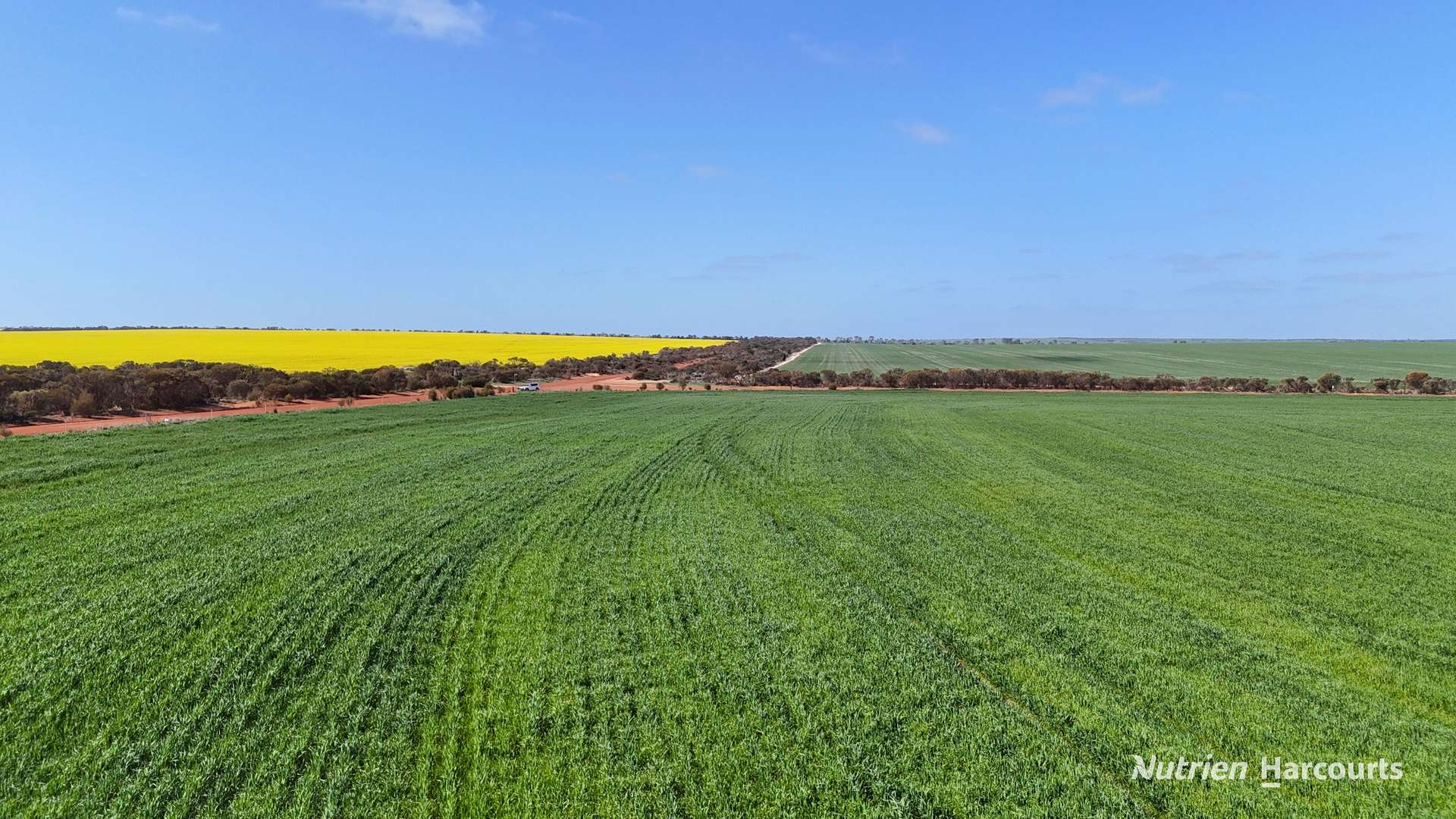 2342 Emu Hill Road East, South Kumminin For Sale by Farmbuy.com - image 1